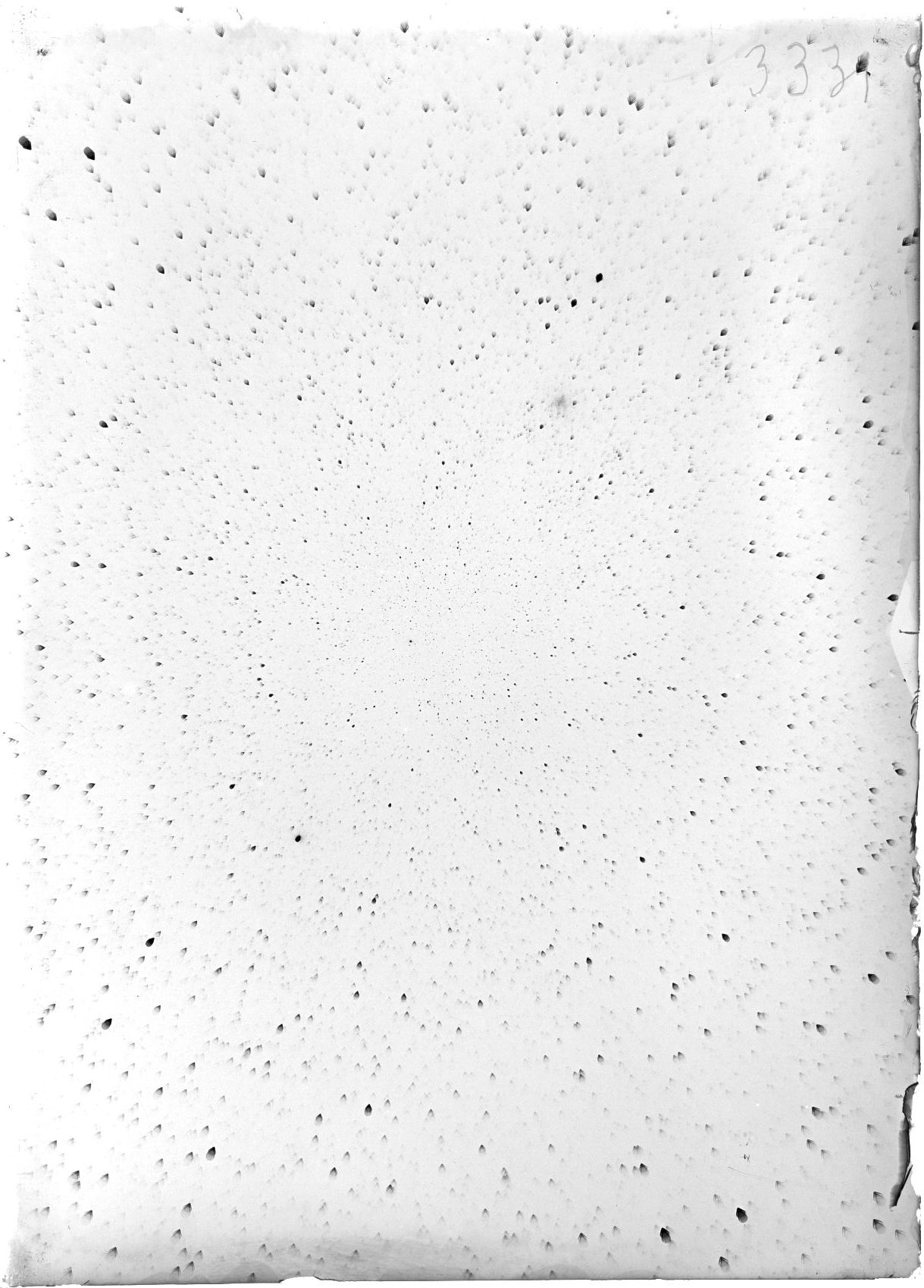 Scan ST03331