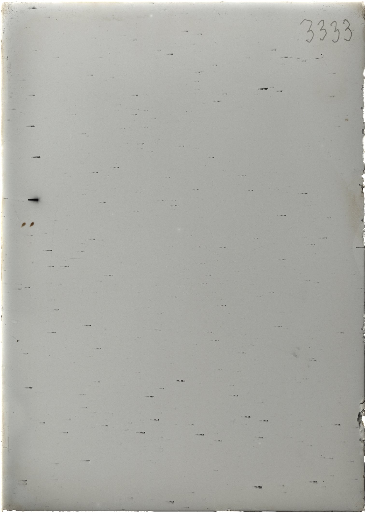 Scan ST03333