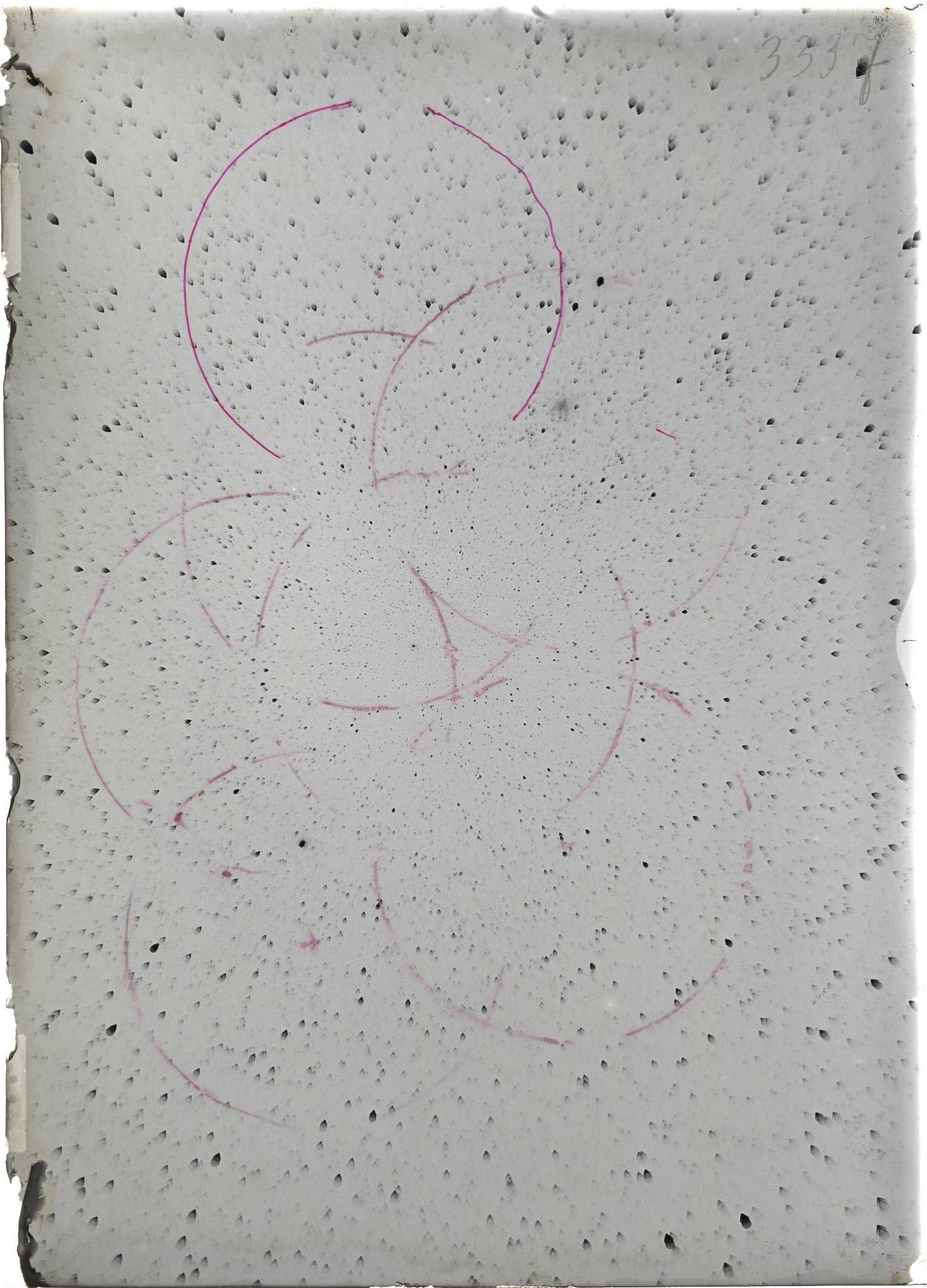 Scan ST03337