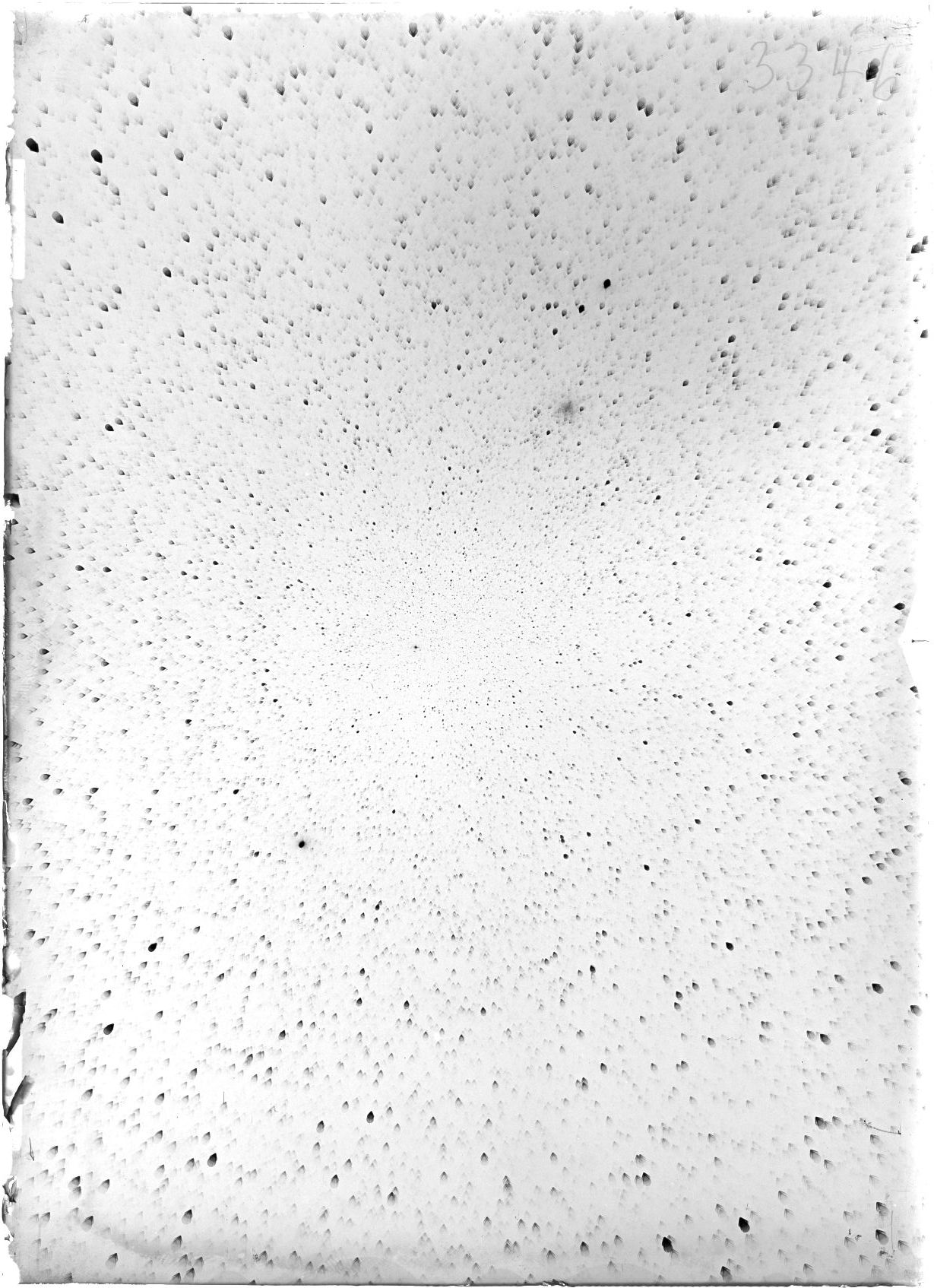 Scan ST03346