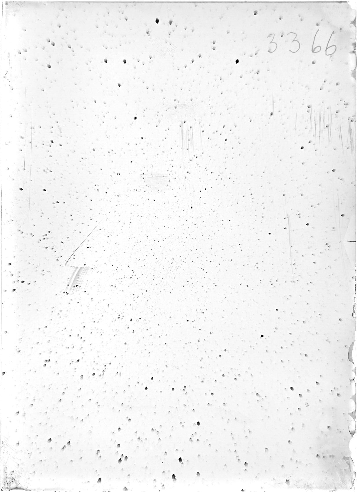 Scan ST03366
