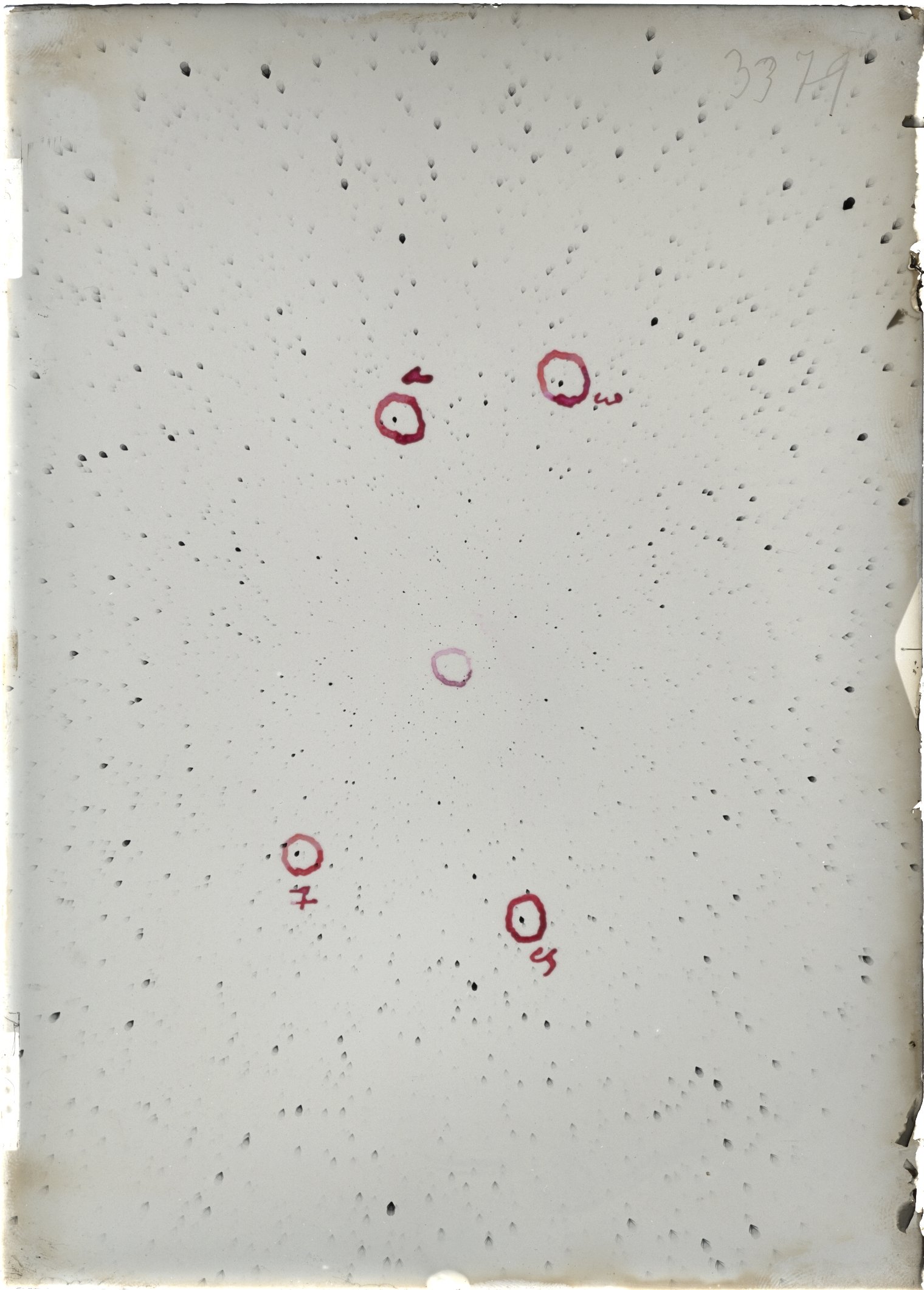 Scan ST03379
