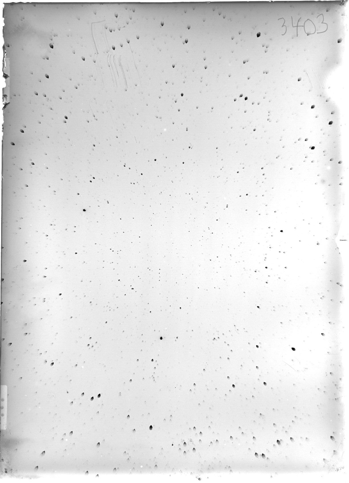 Scan ST03403
