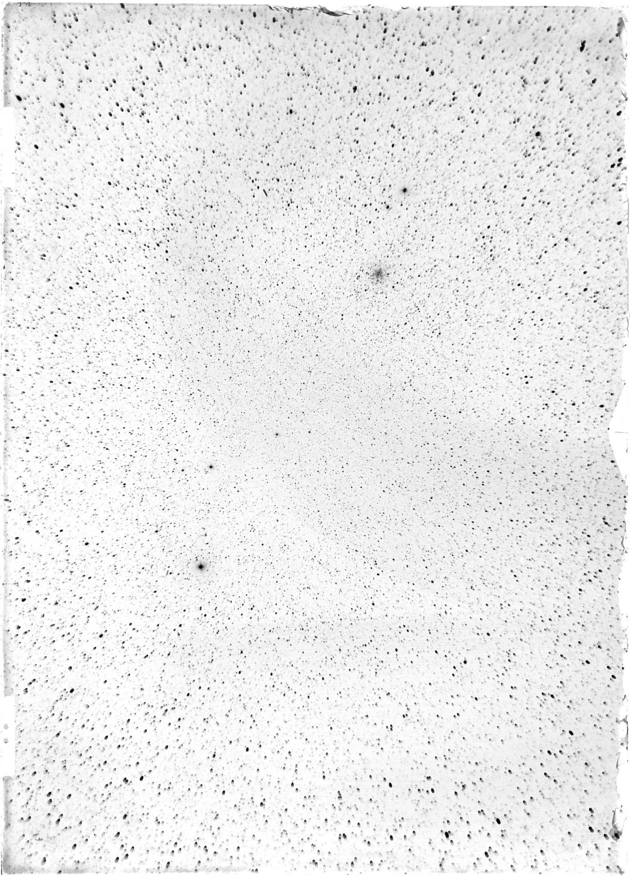 Scan ST03406
