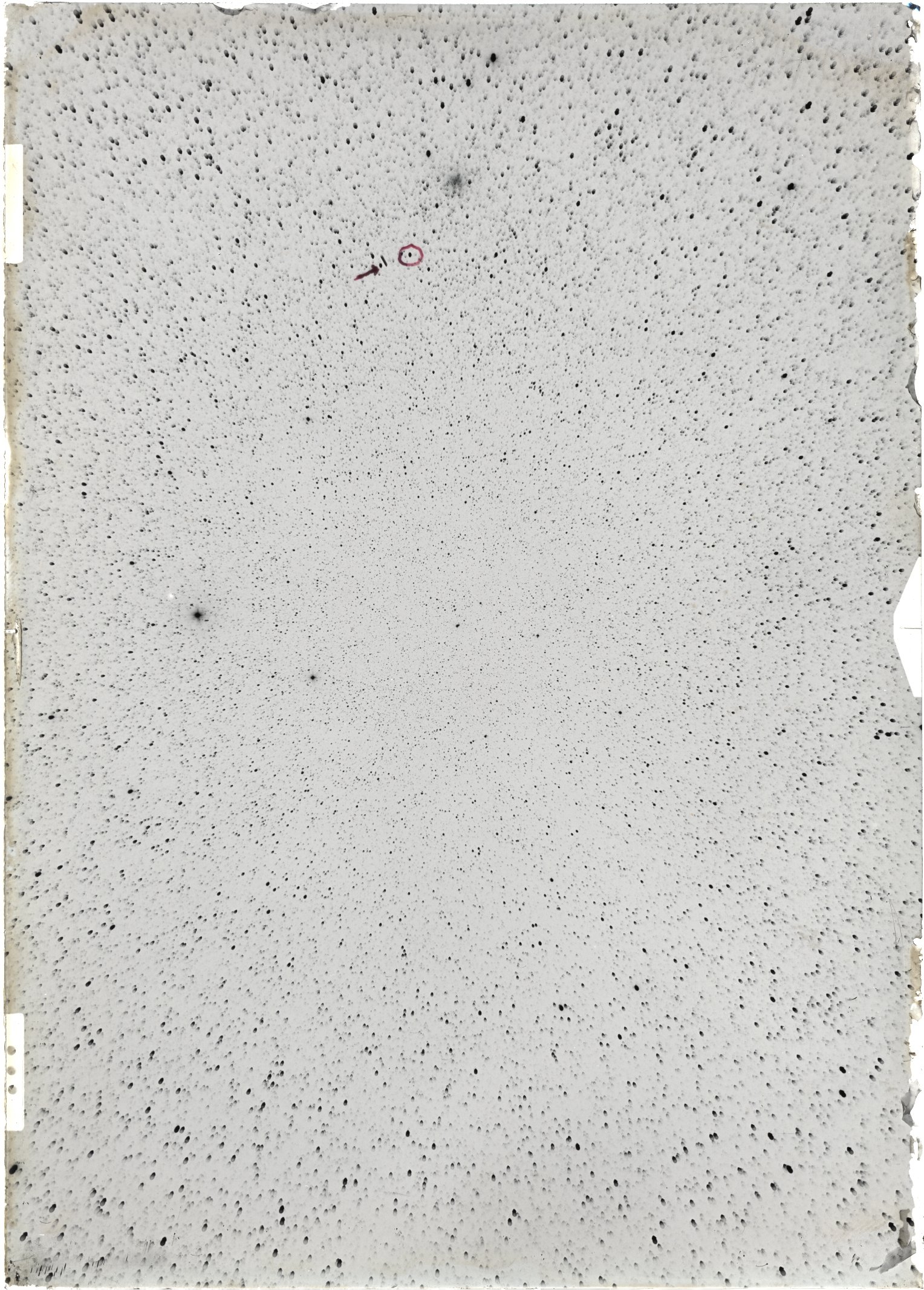 Scan ST03407