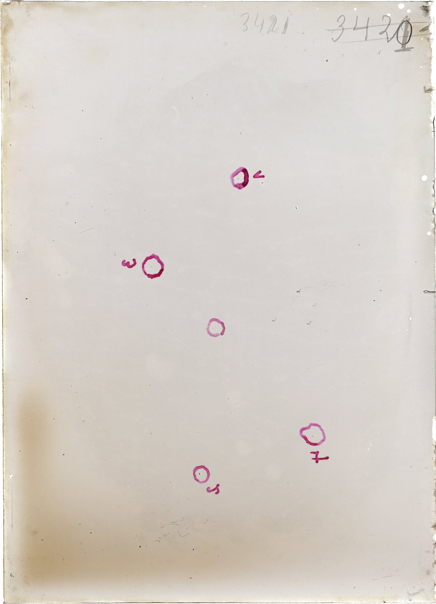 Scan ST03421