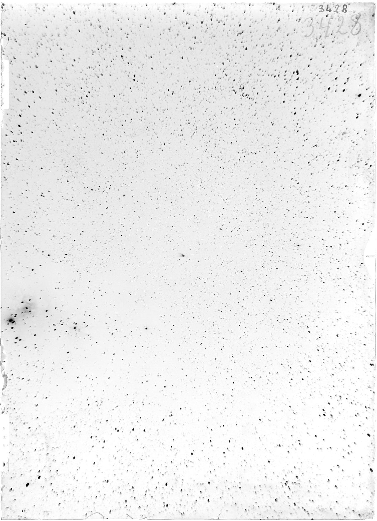 Scan ST03428