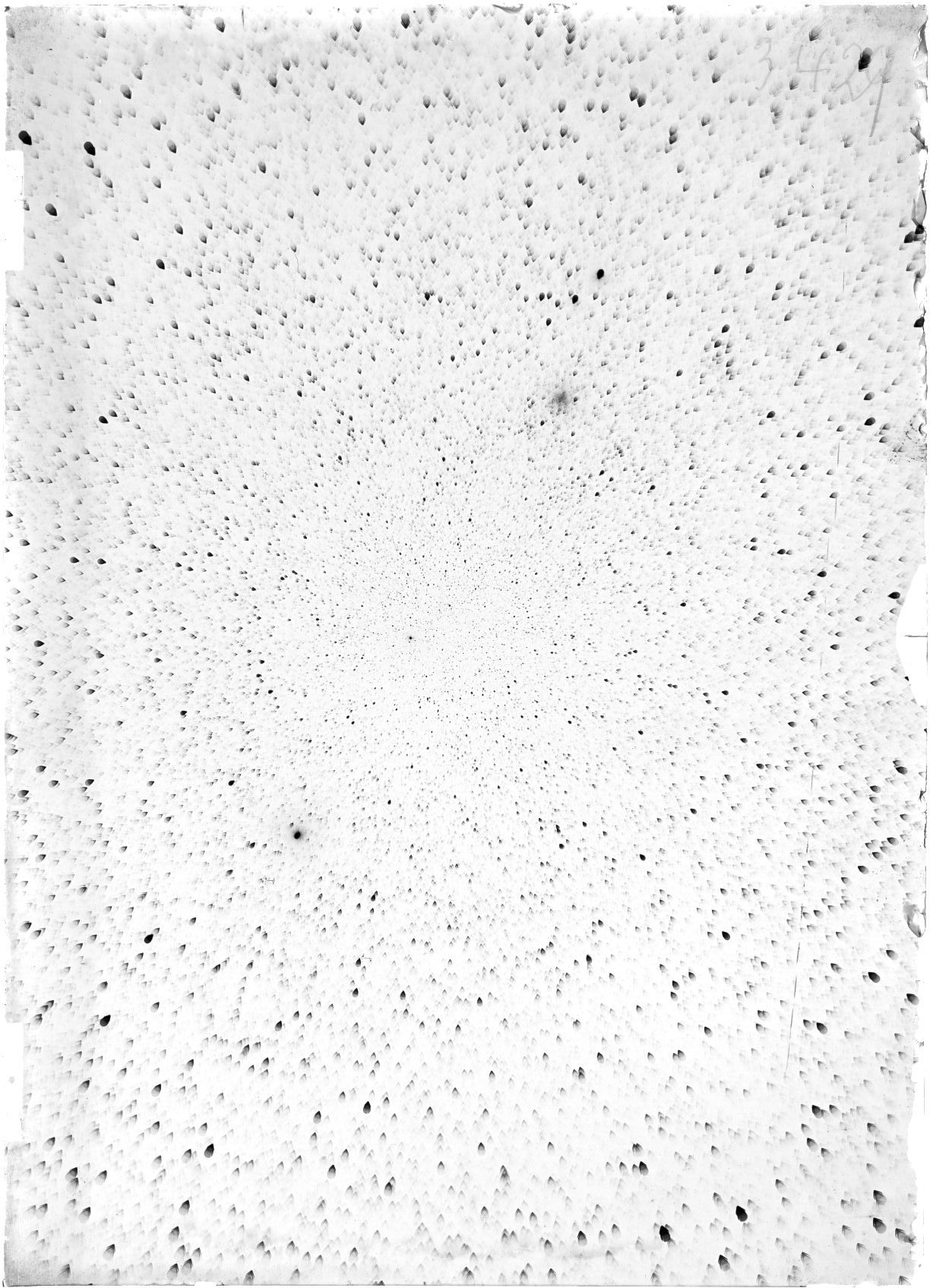 Scan ST03429