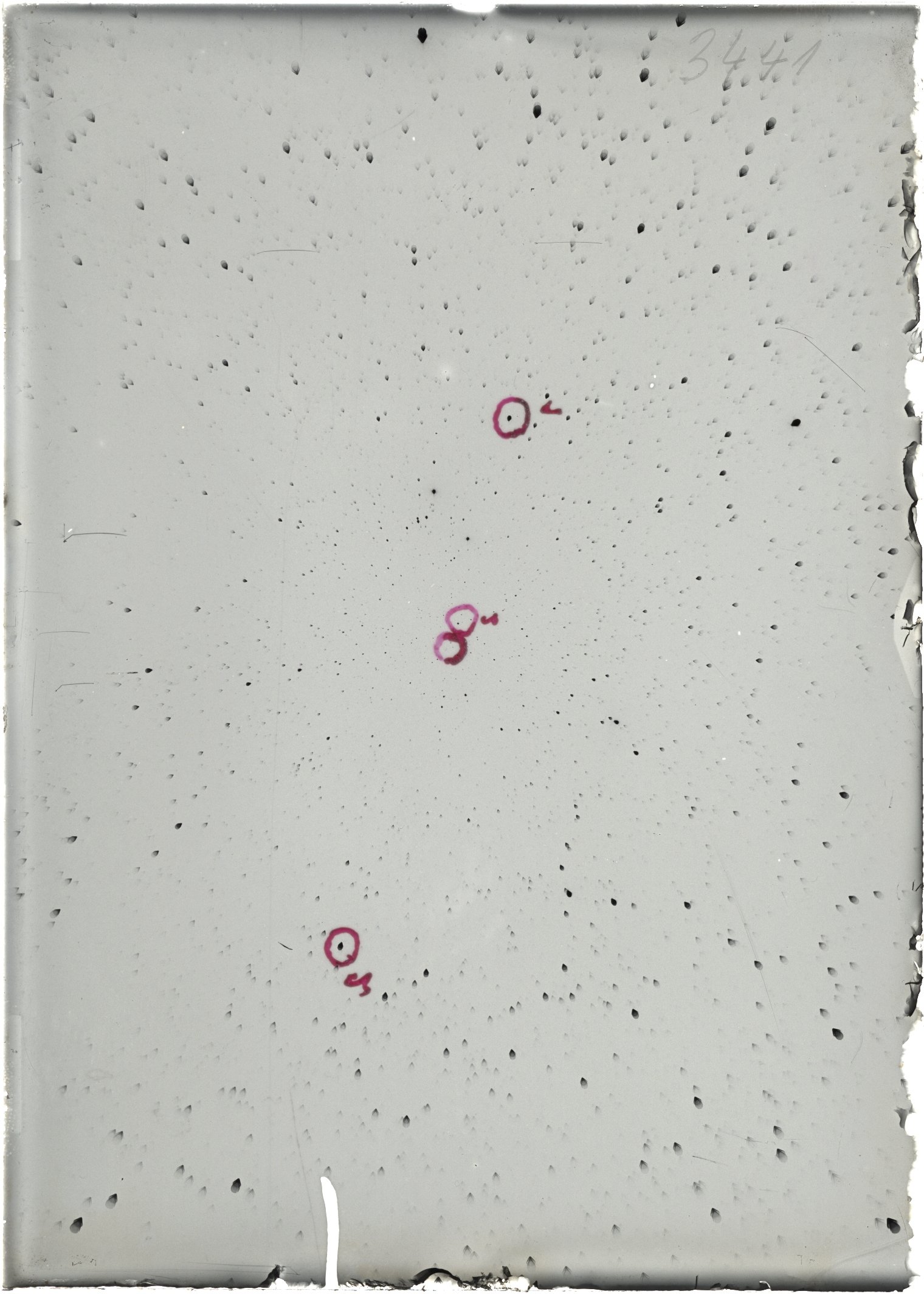 Scan ST03441