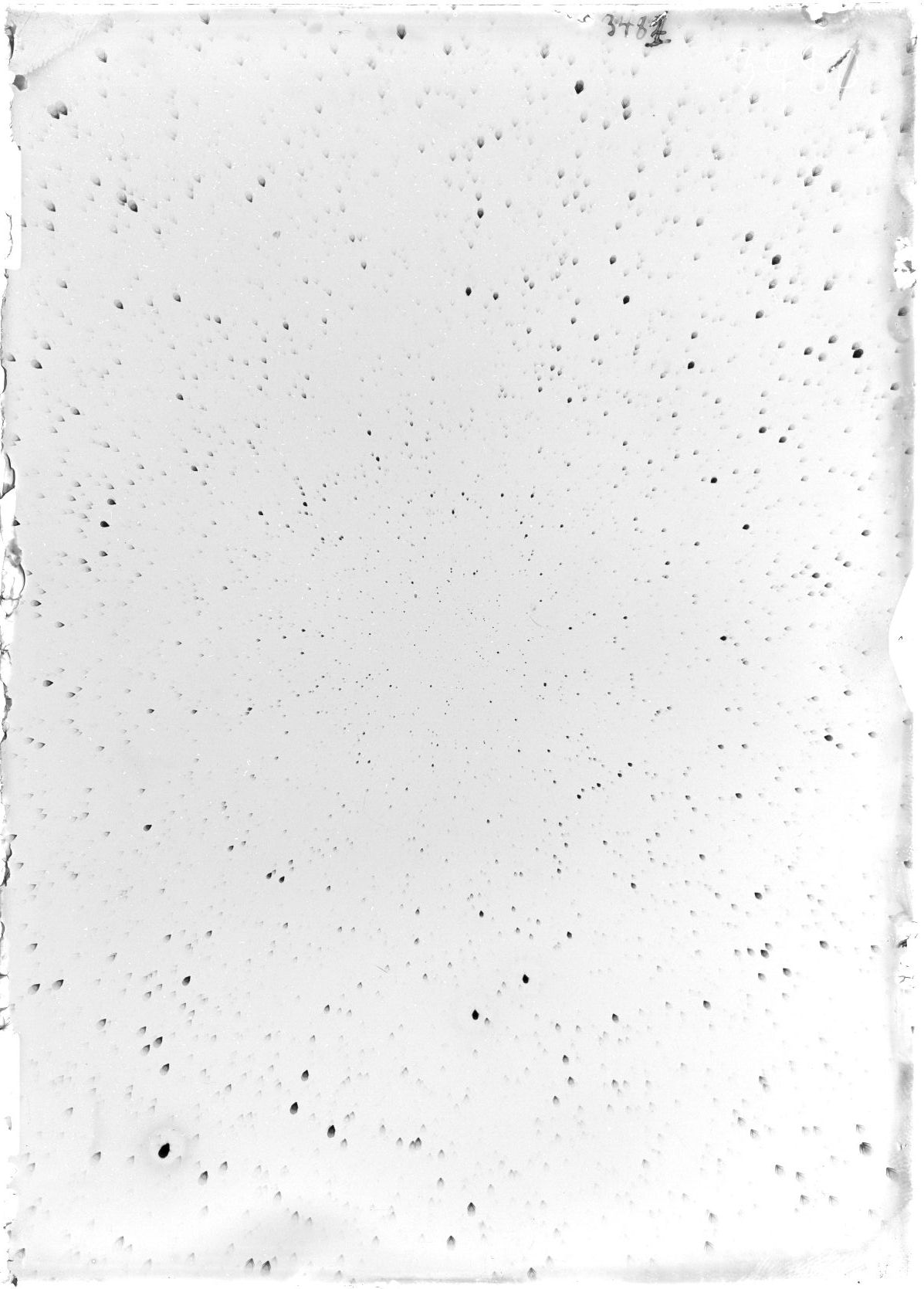 Scan ST03481