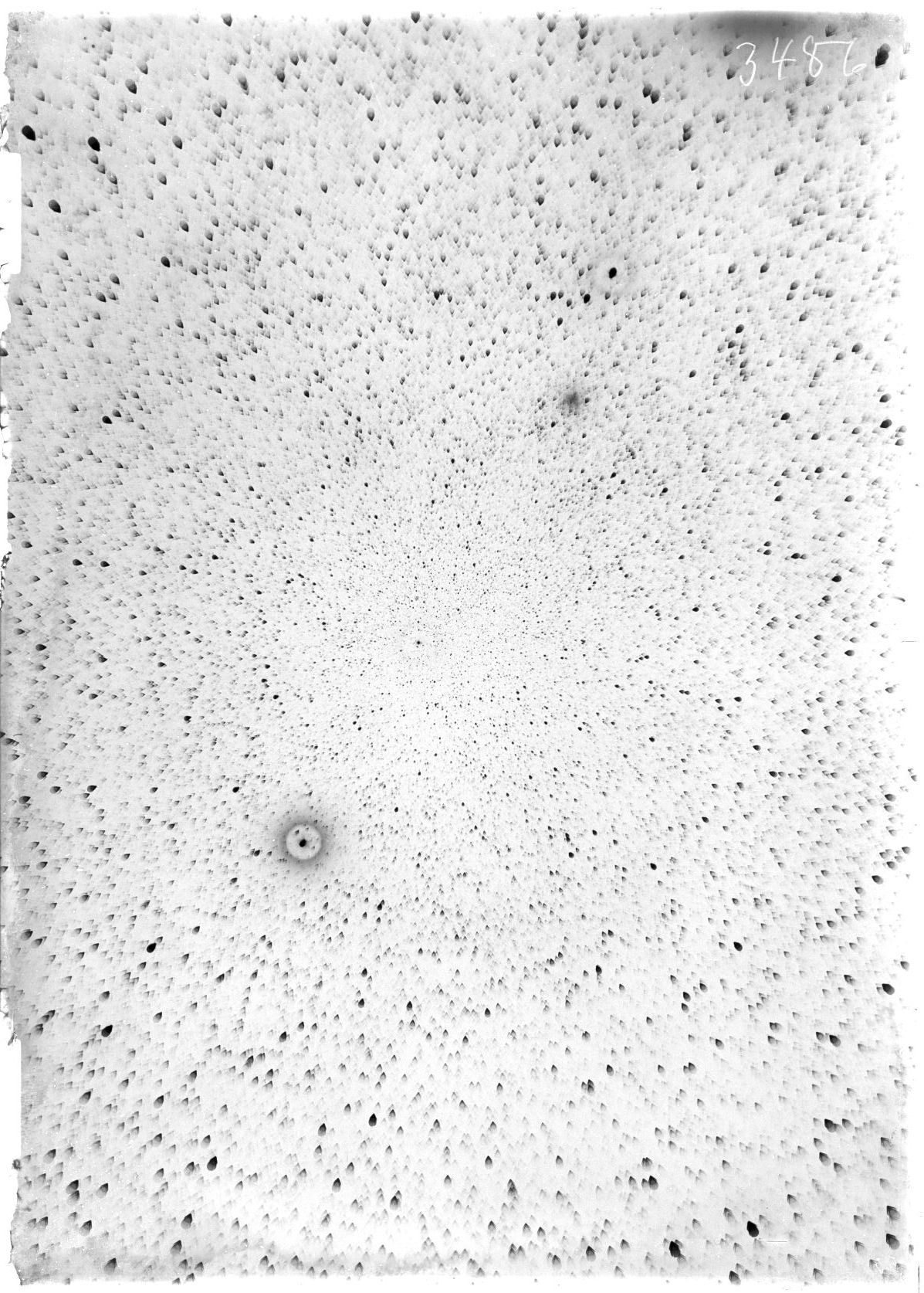Scan ST03486