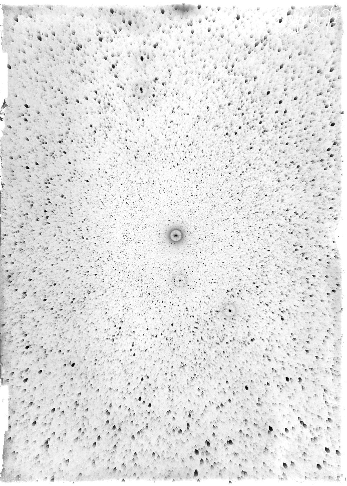 Scan ST03487