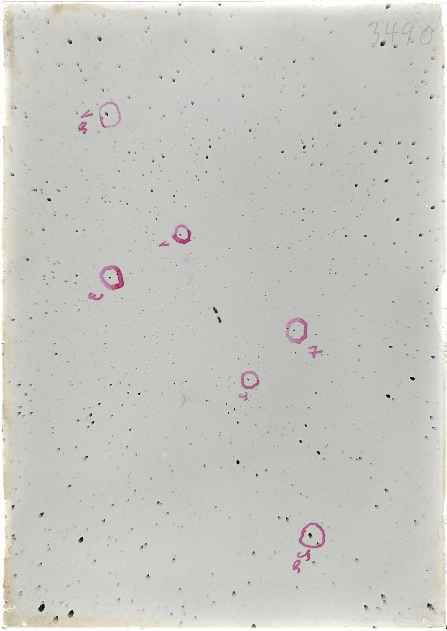 Scan ST03490