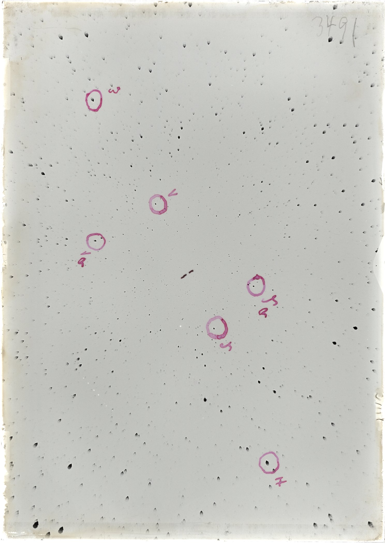 Scan ST03491