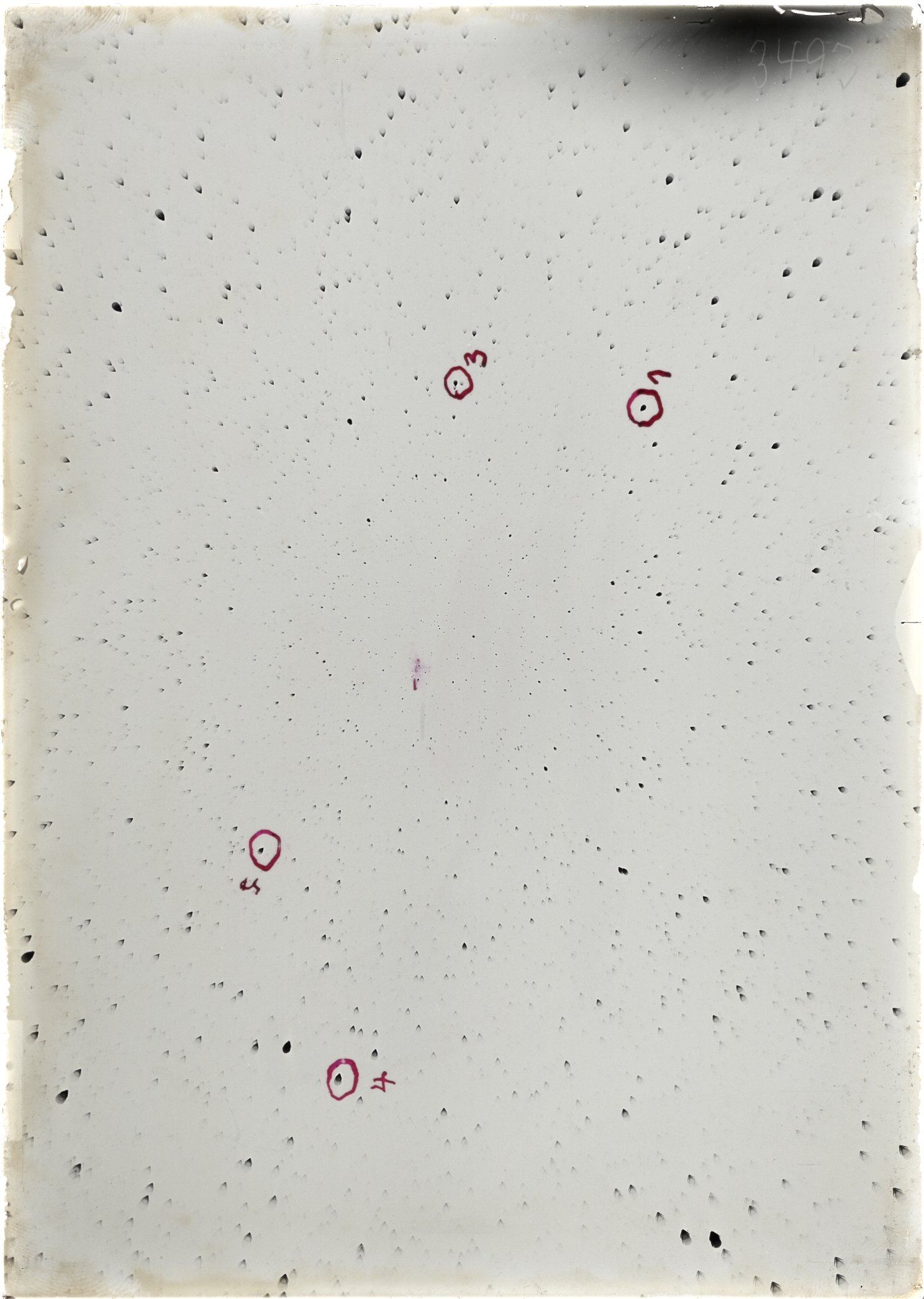 Scan ST03493