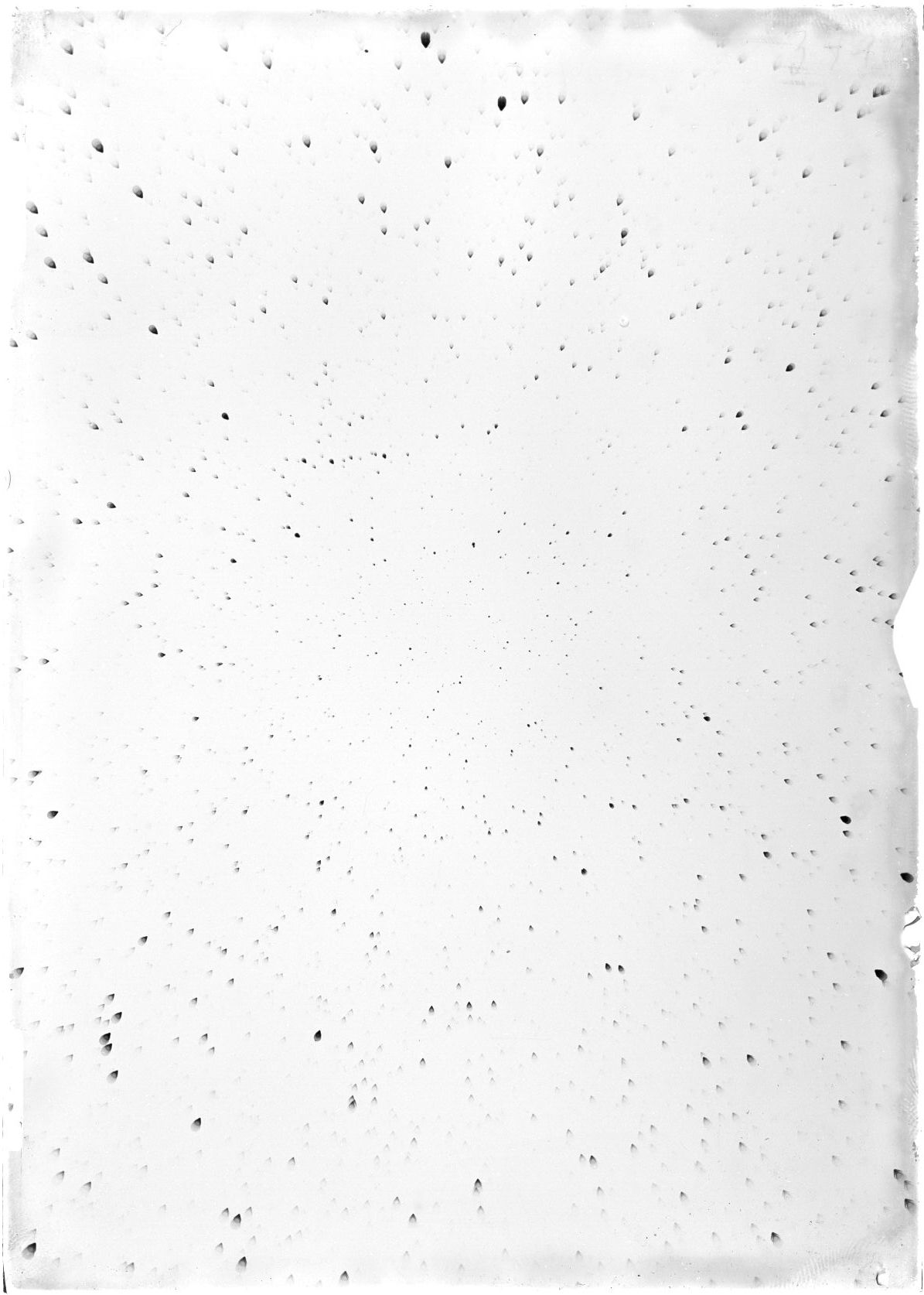 Scan ST03494