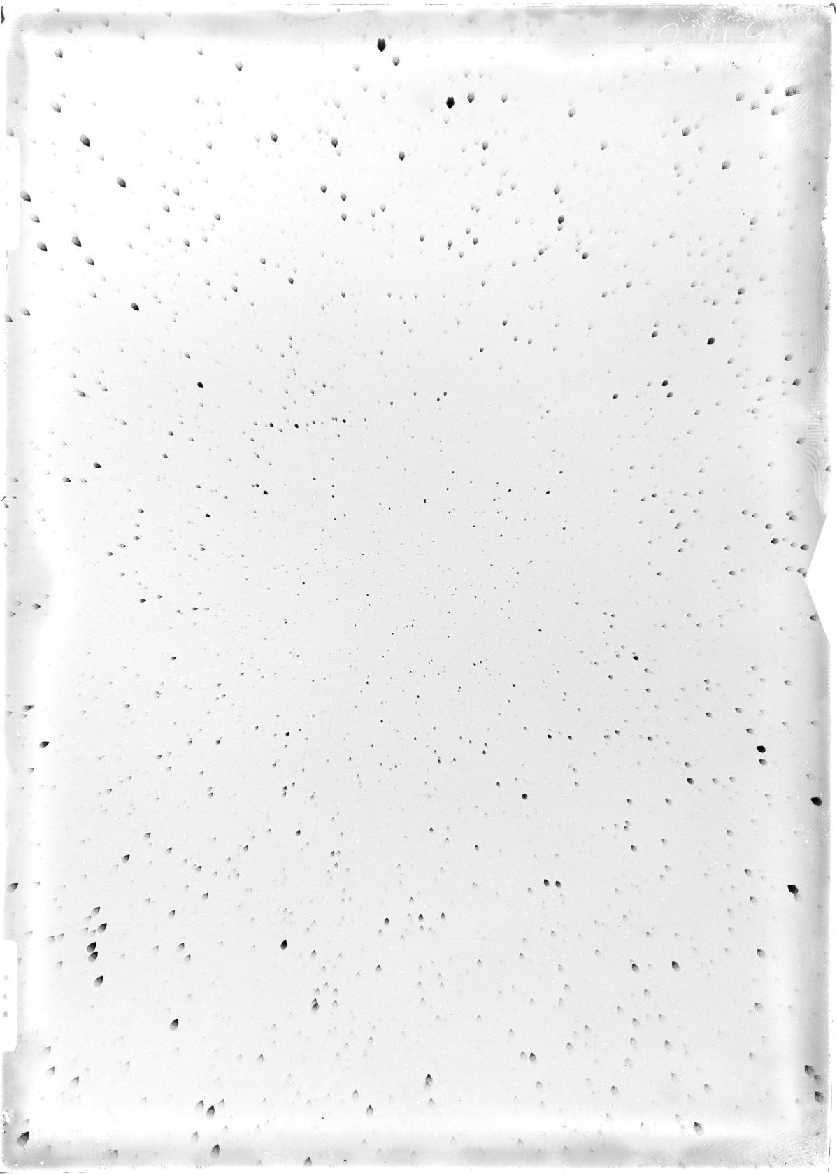 Scan ST03496