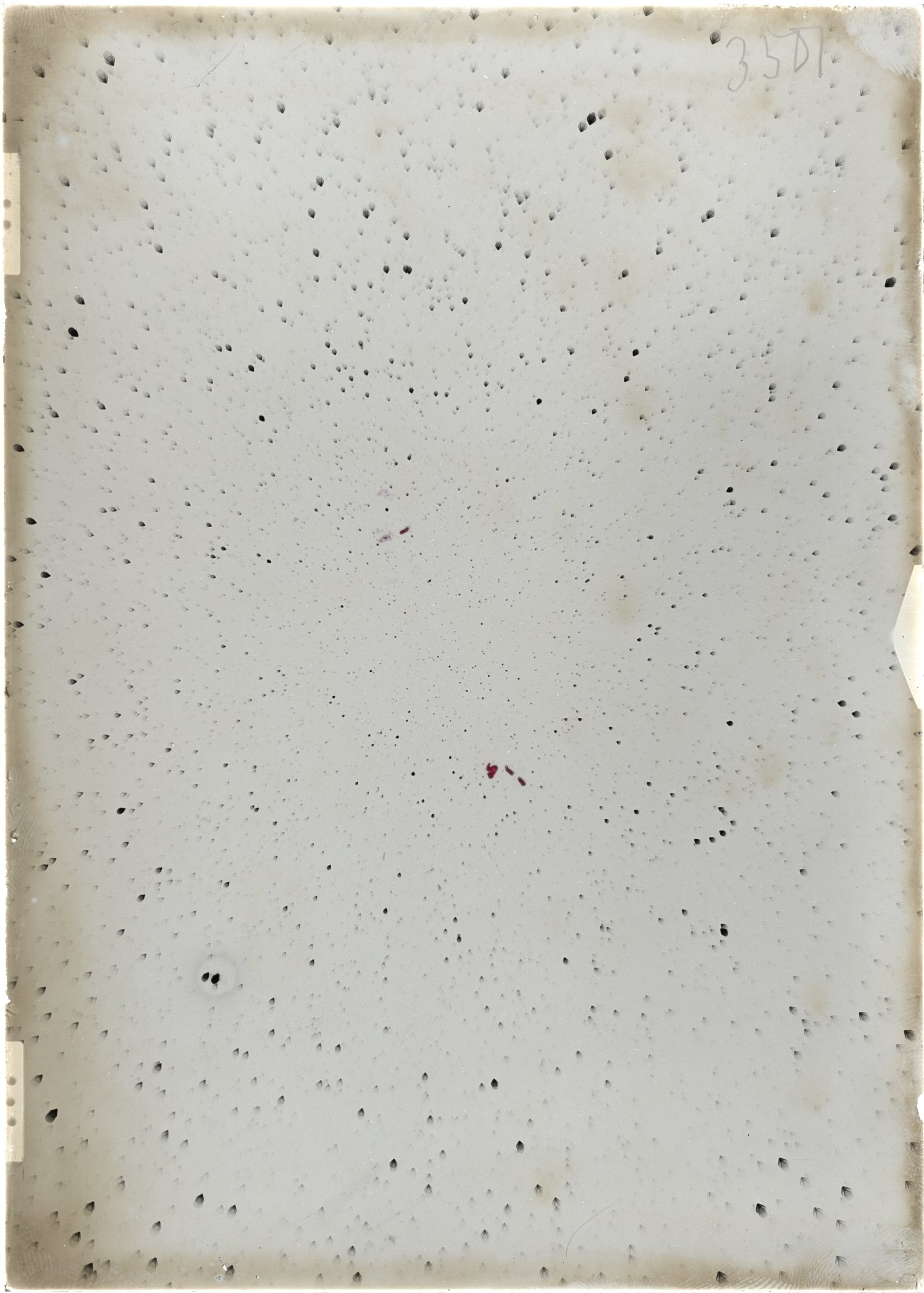 Scan ST03501
