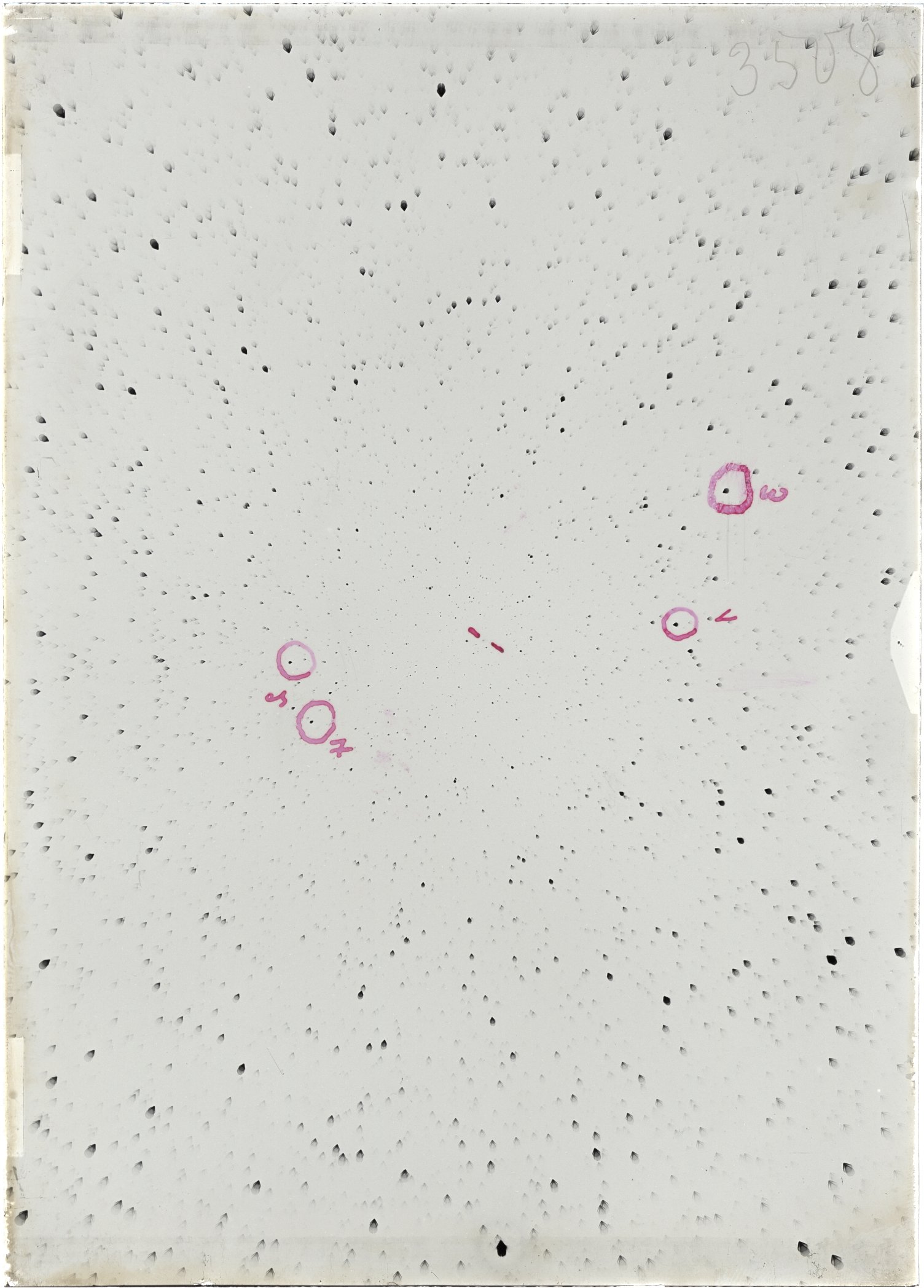 Scan ST03508