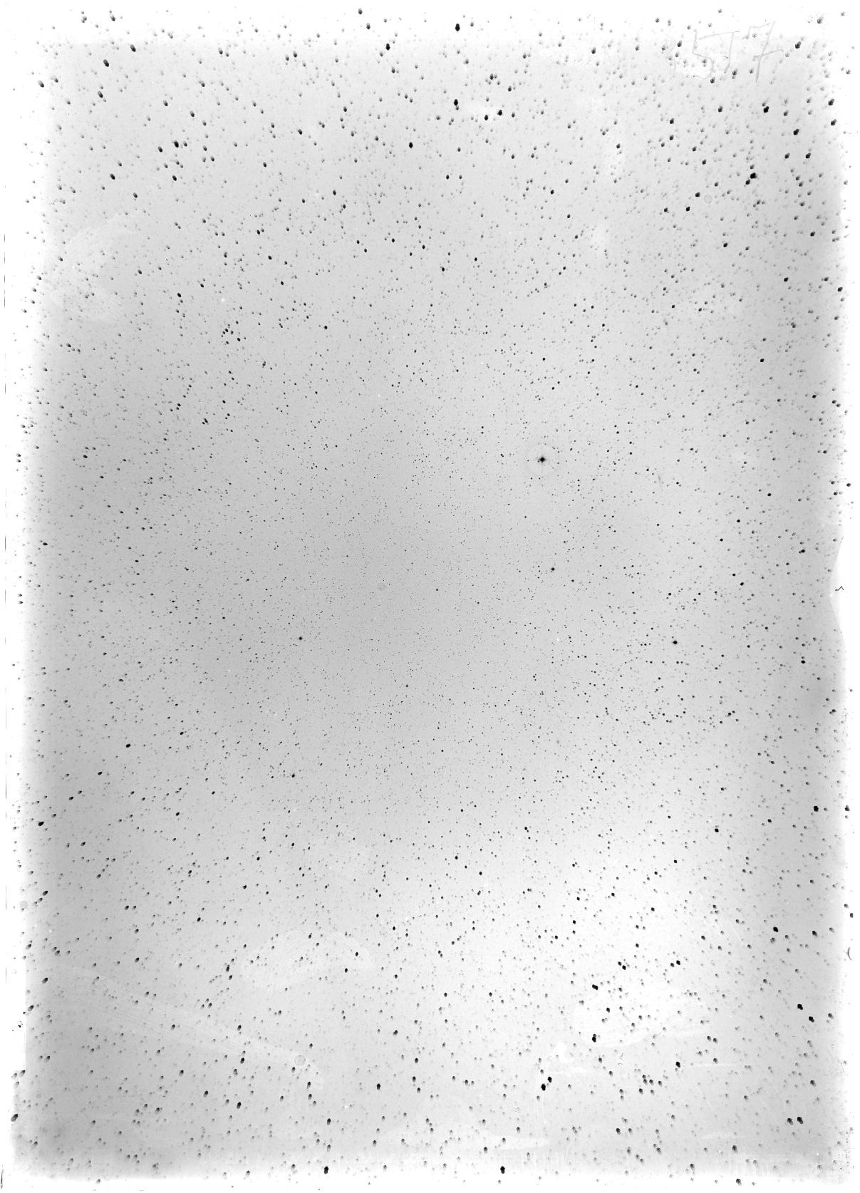 Scan ST03517