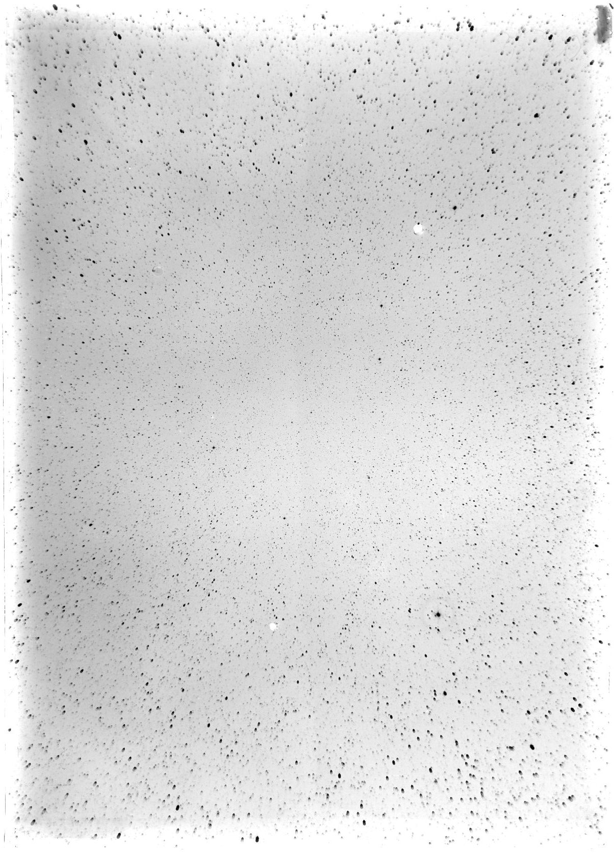 Scan ST03520