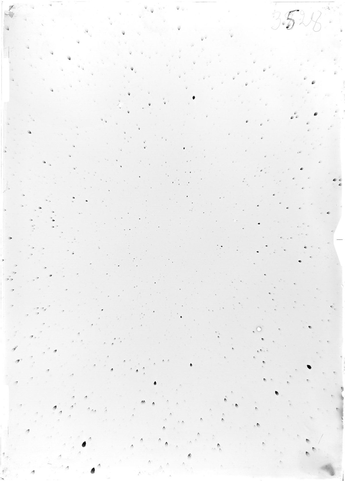 Scan ST03528