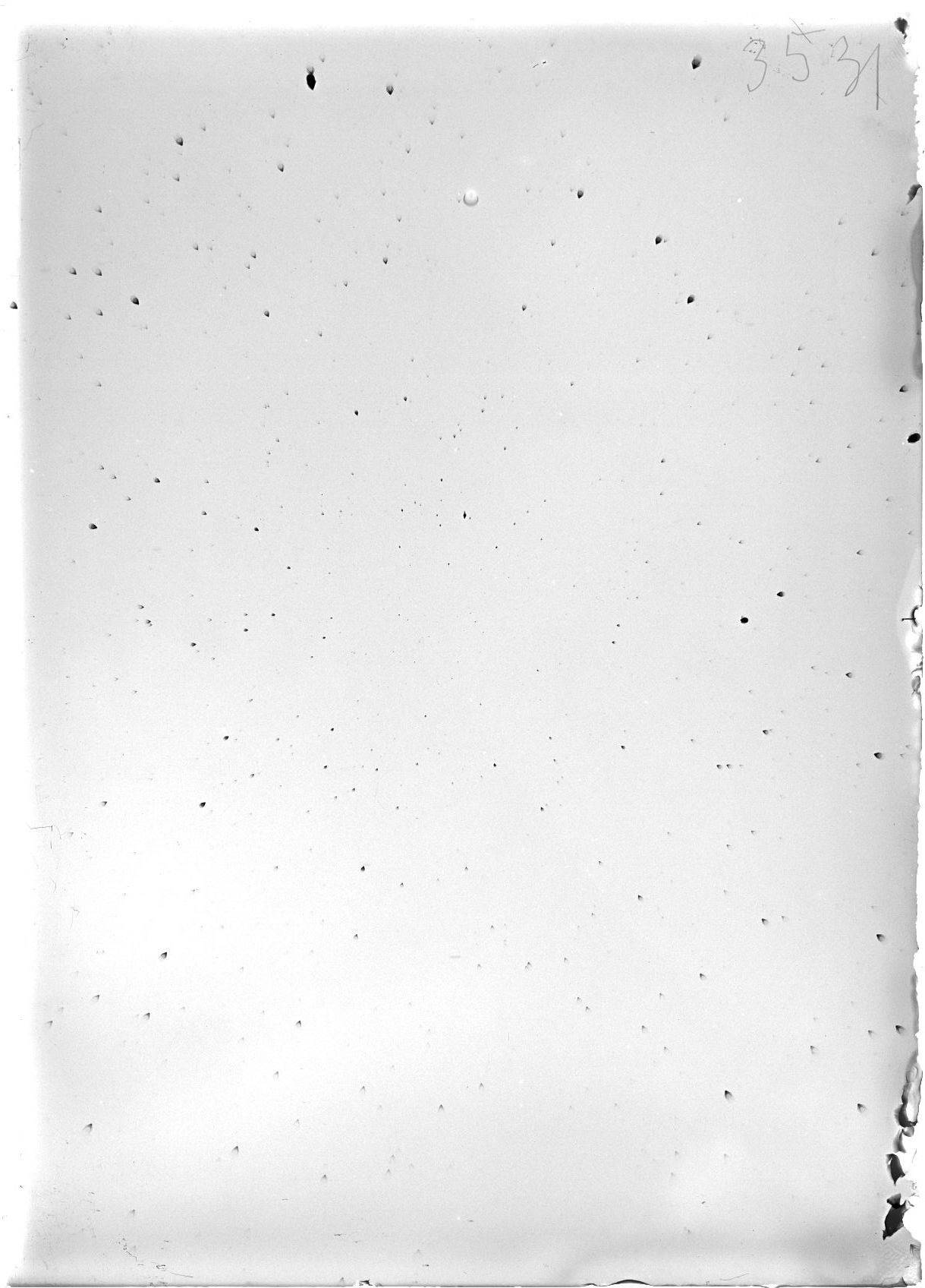 Scan ST03531