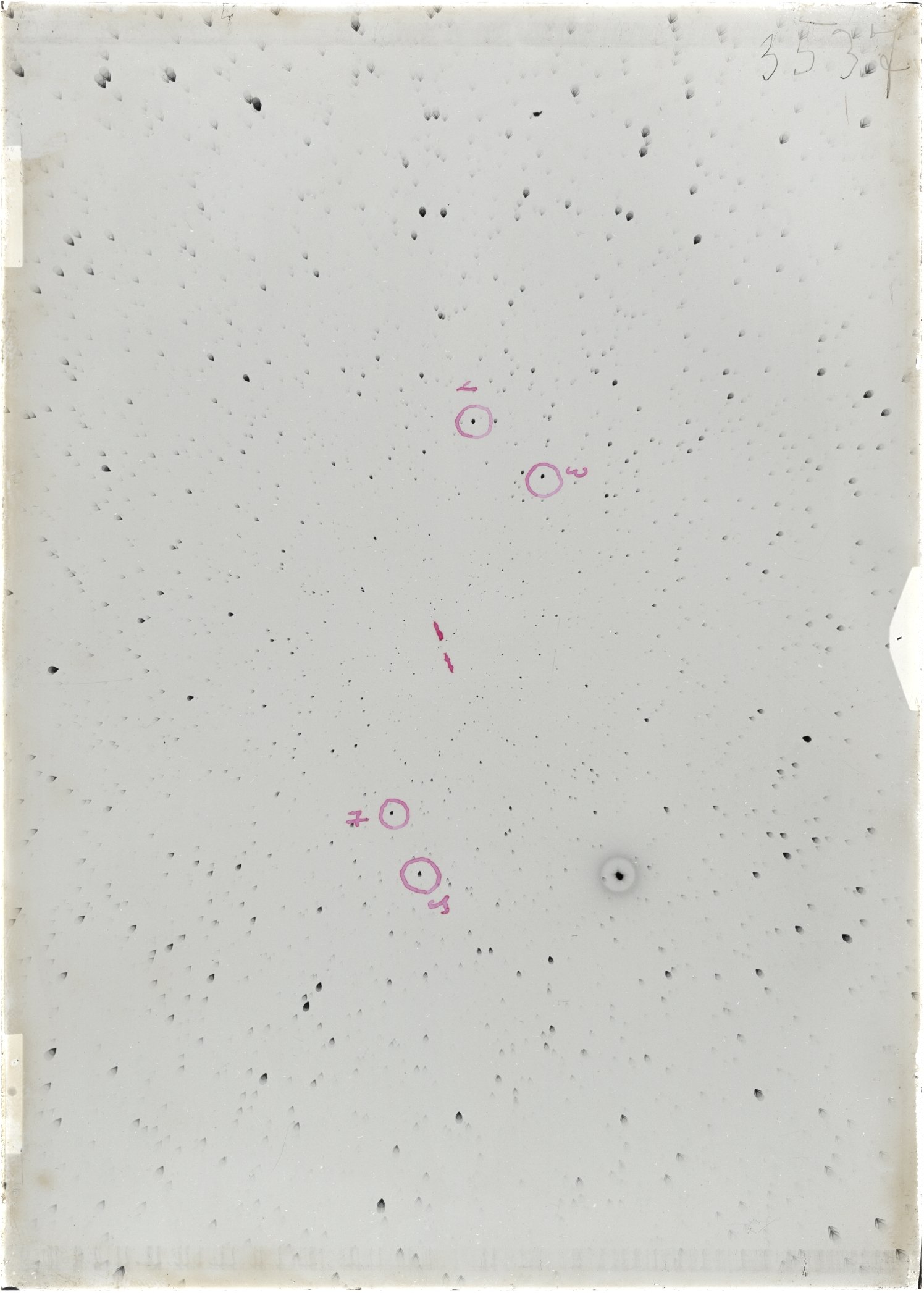 Scan ST03537
