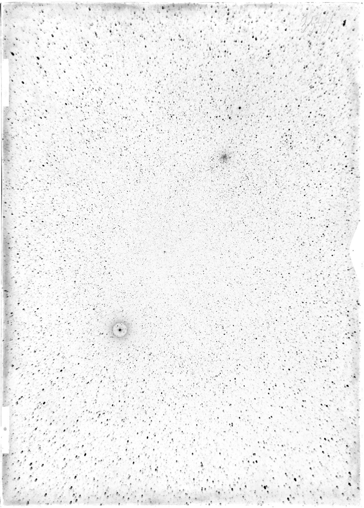 Scan ST03541
