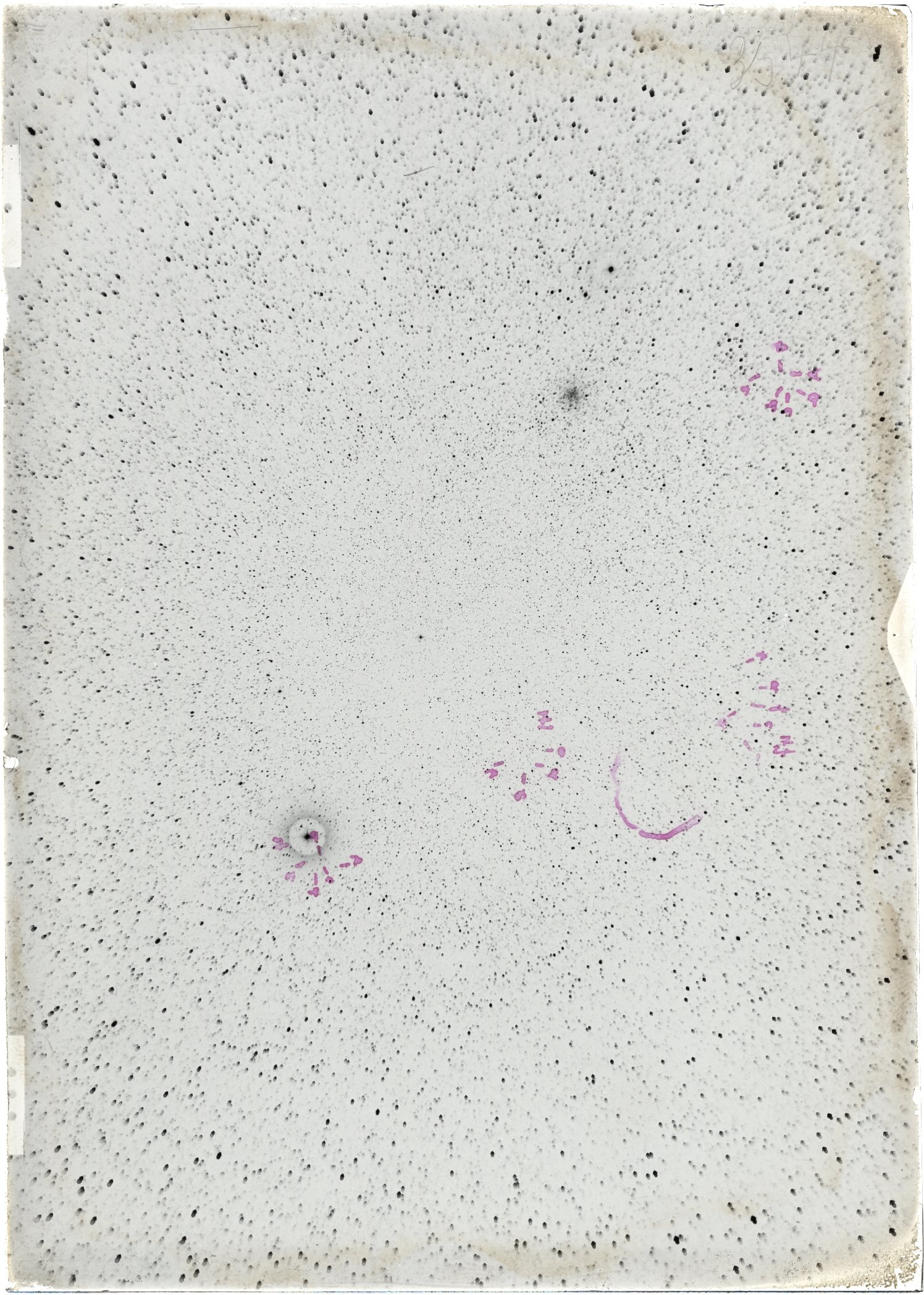 Scan ST03544
