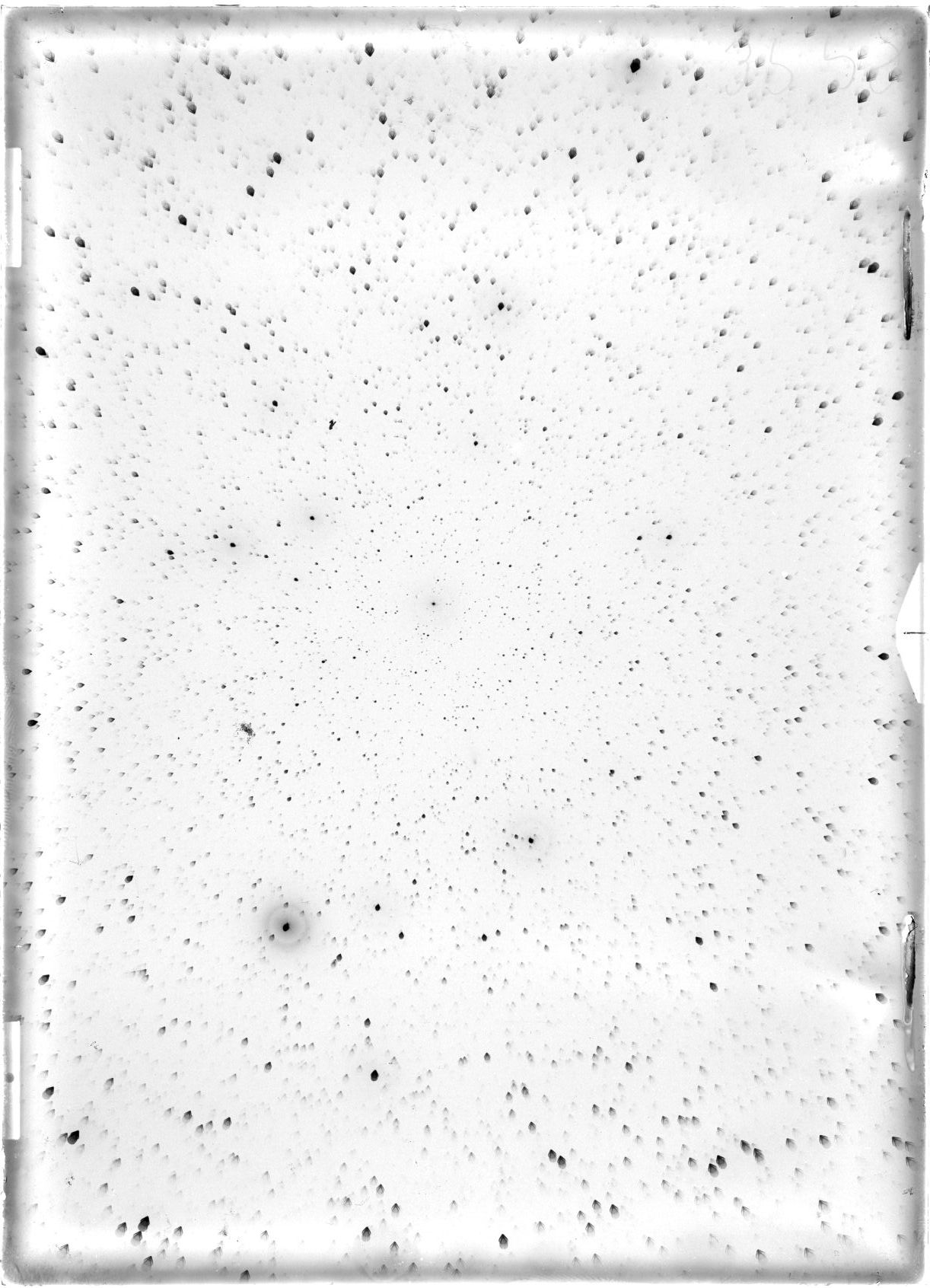 Scan ST03558