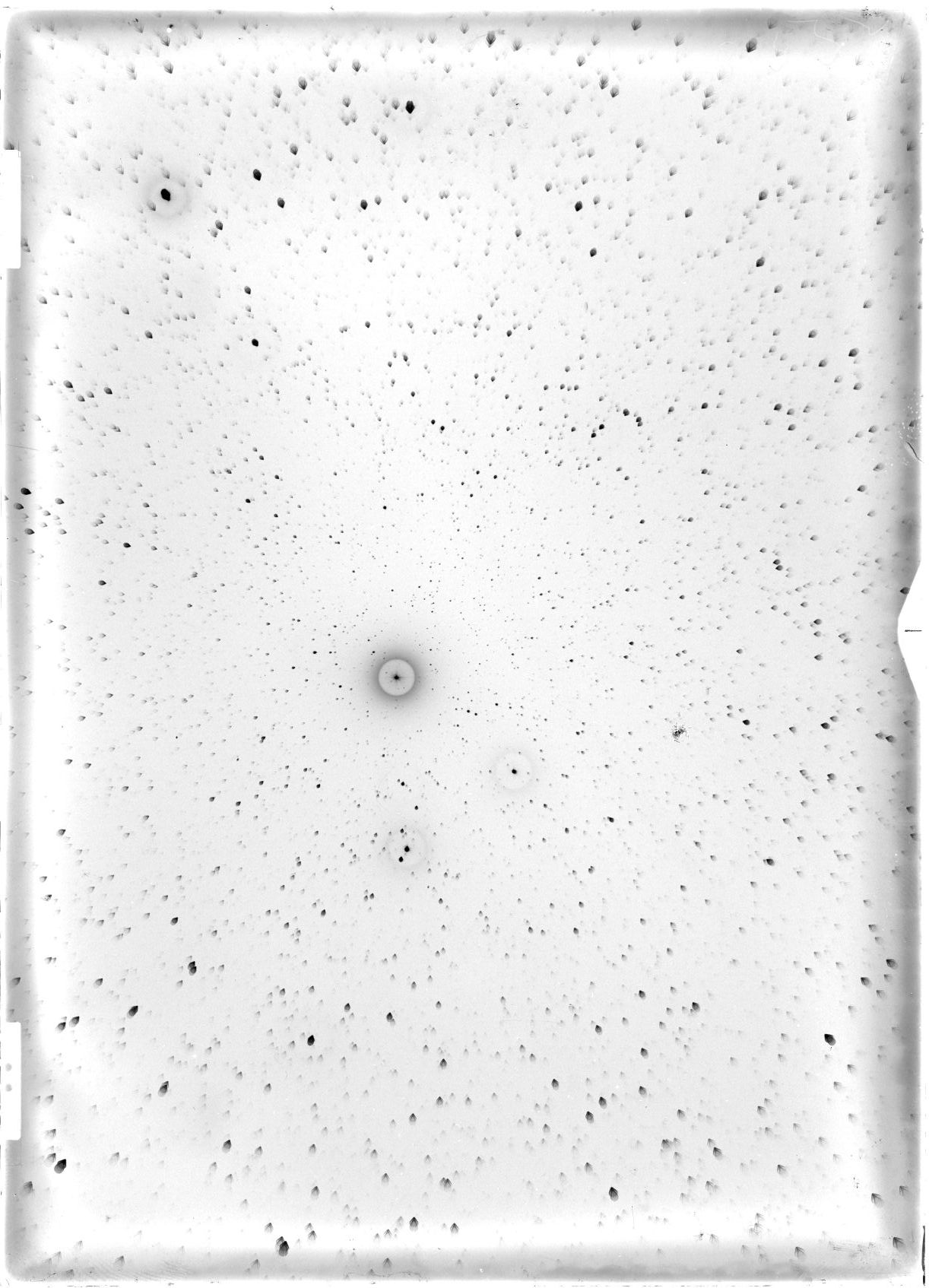 Scan ST03559