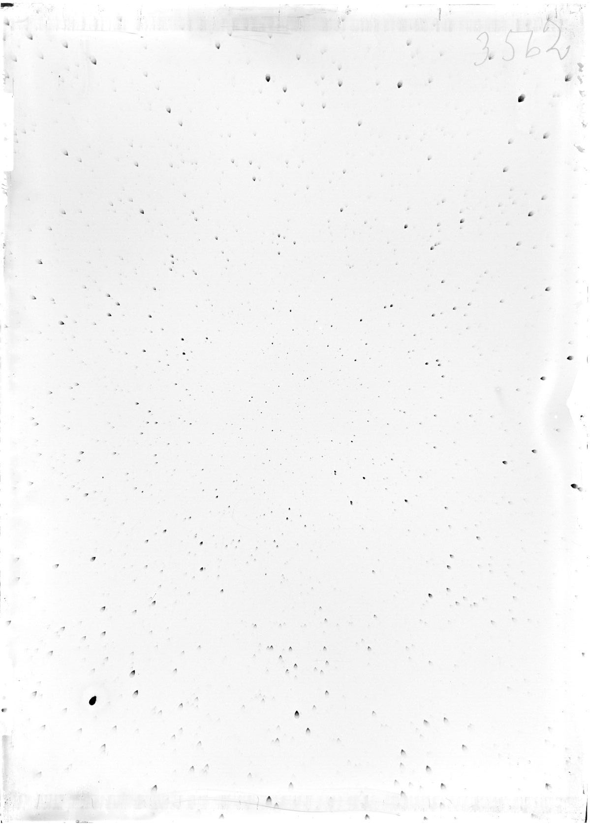 Scan ST03562