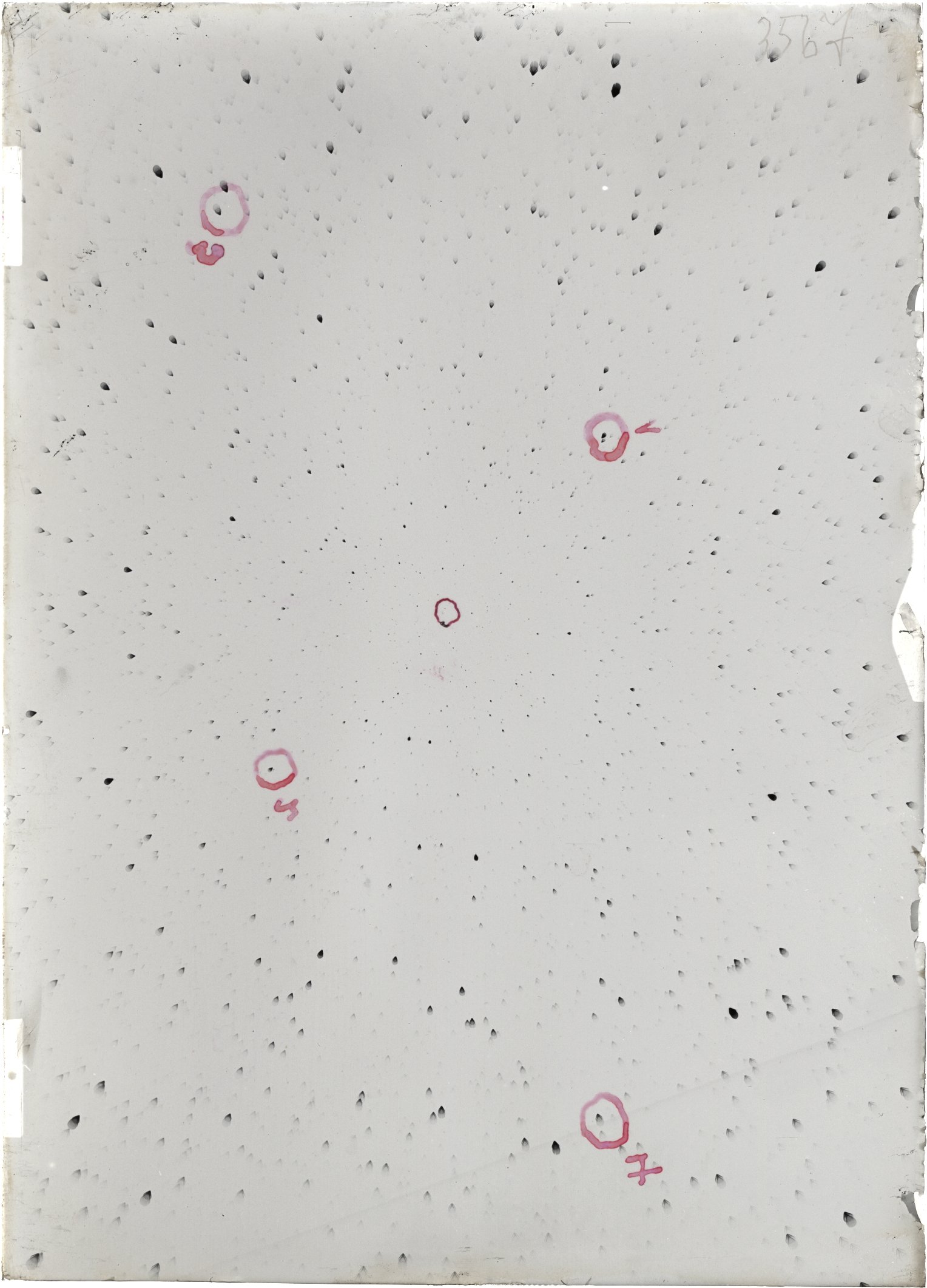 Scan ST03567