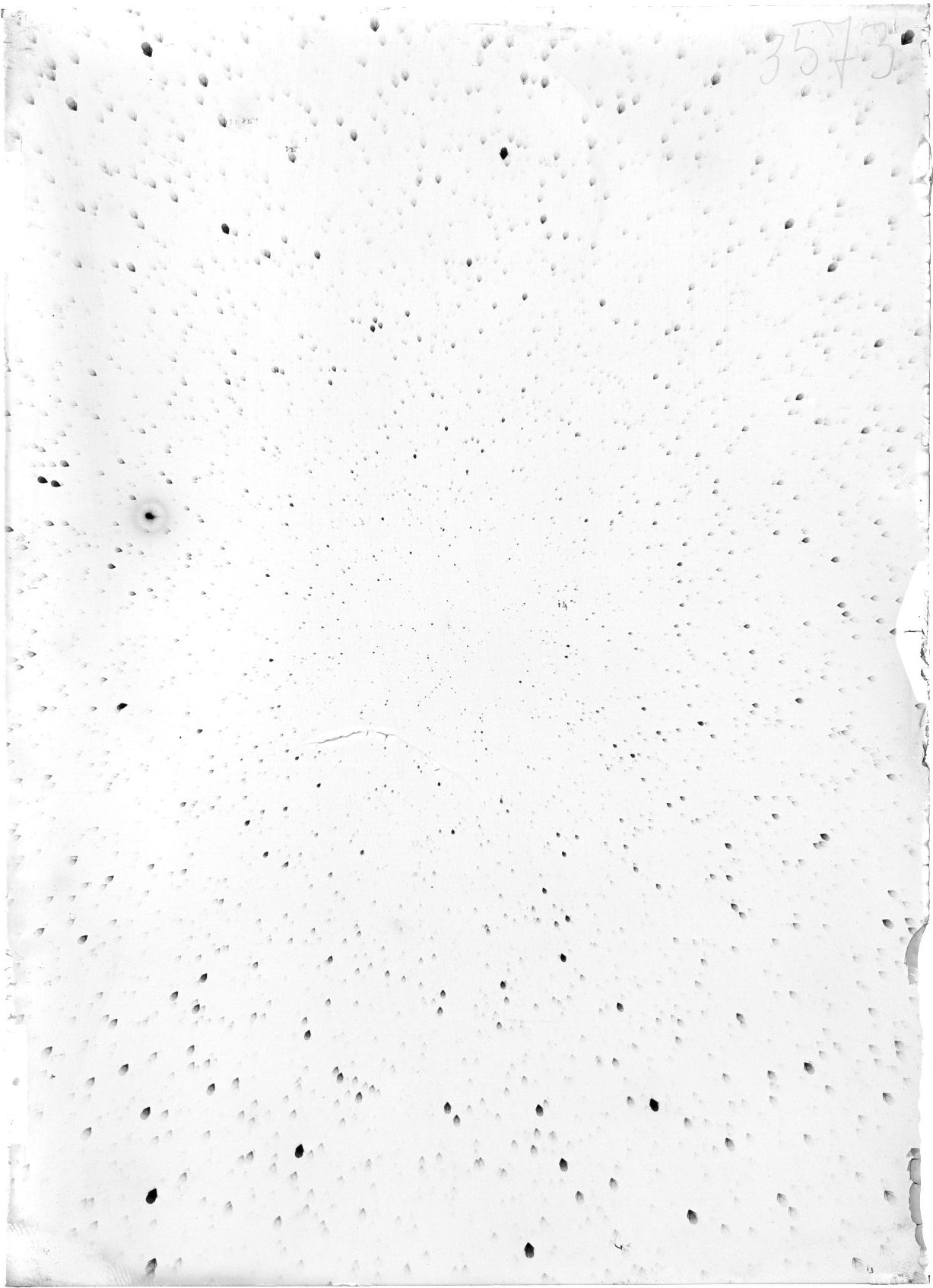 Scan ST03573