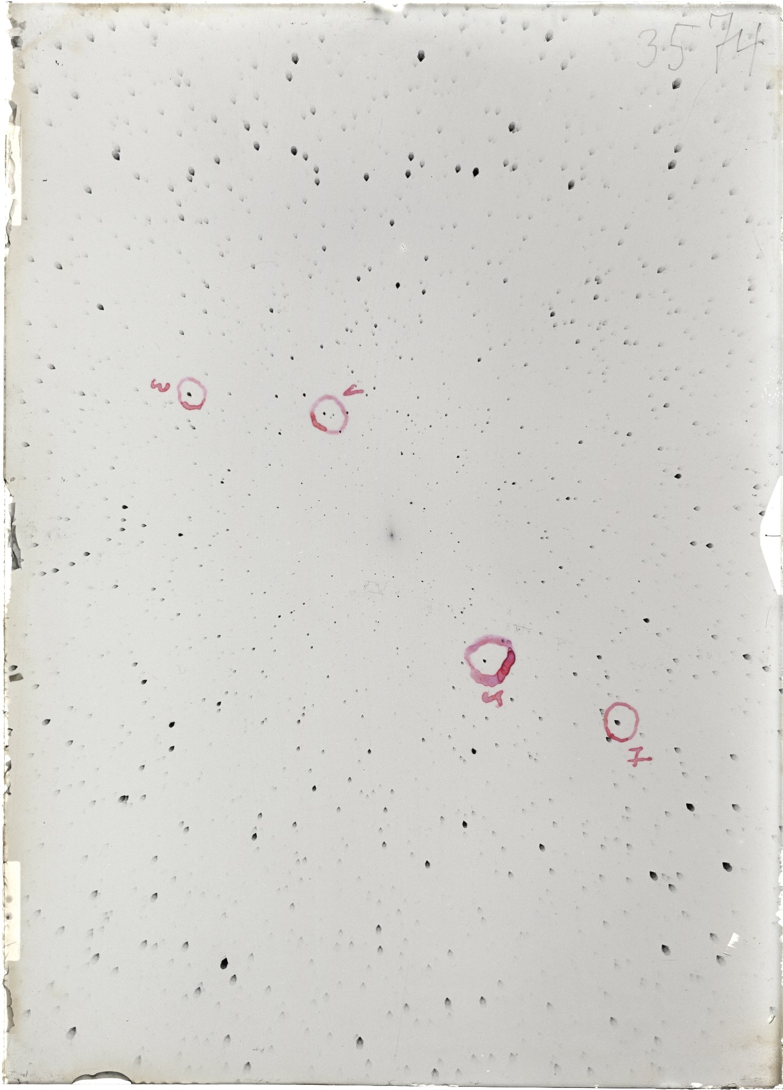 Scan ST03574