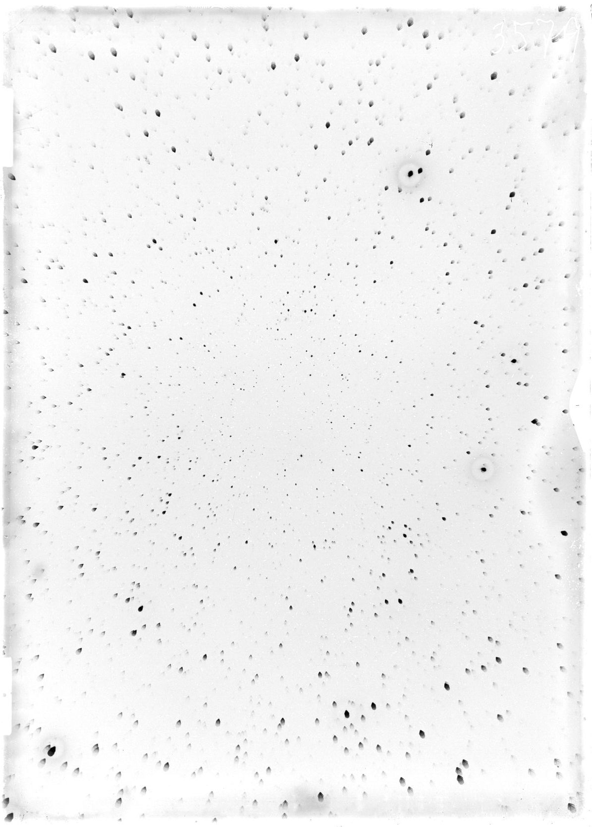 Scan ST03579