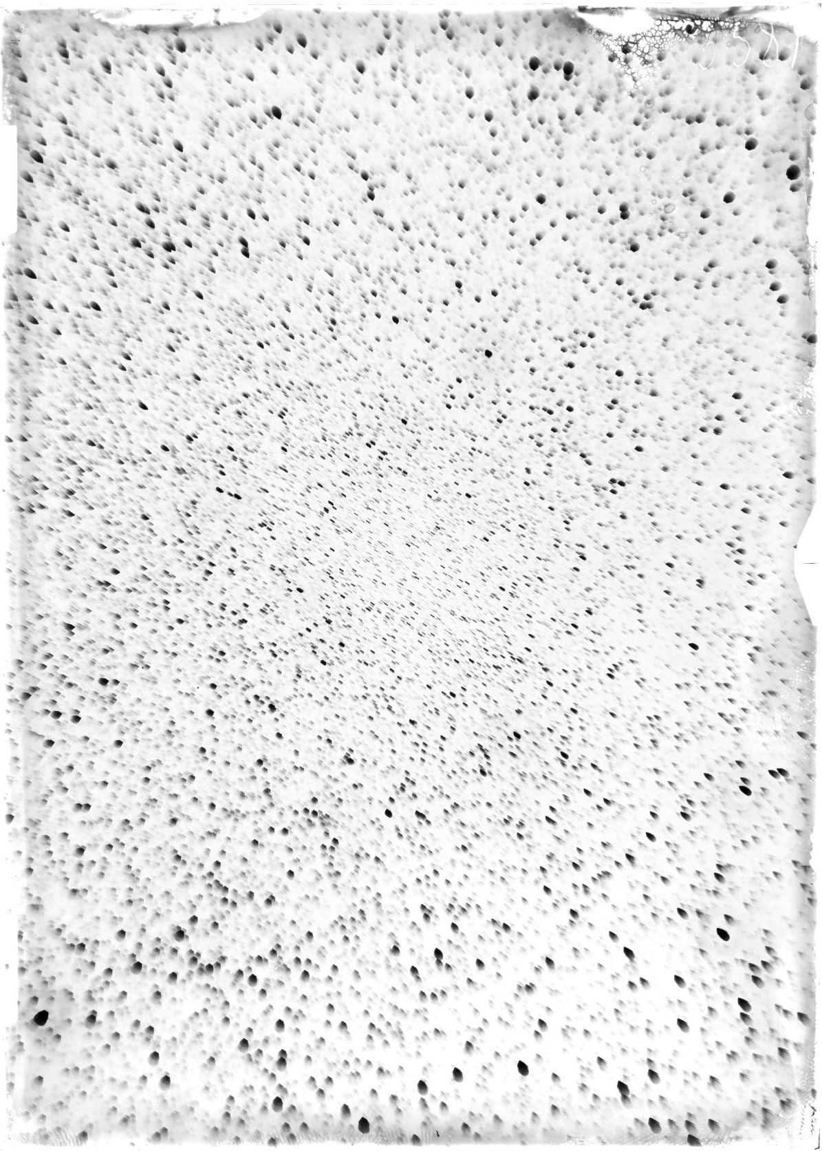 Scan ST03581