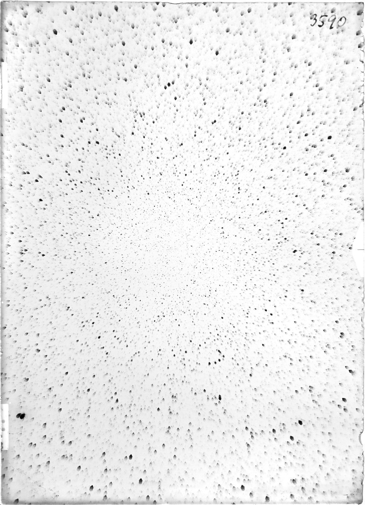 Scan ST03590