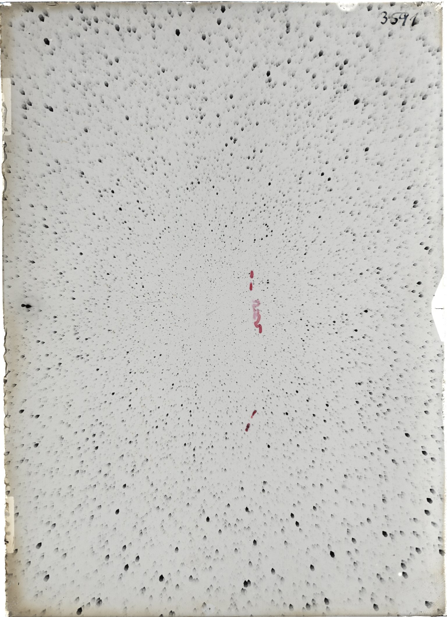 Scan ST03591