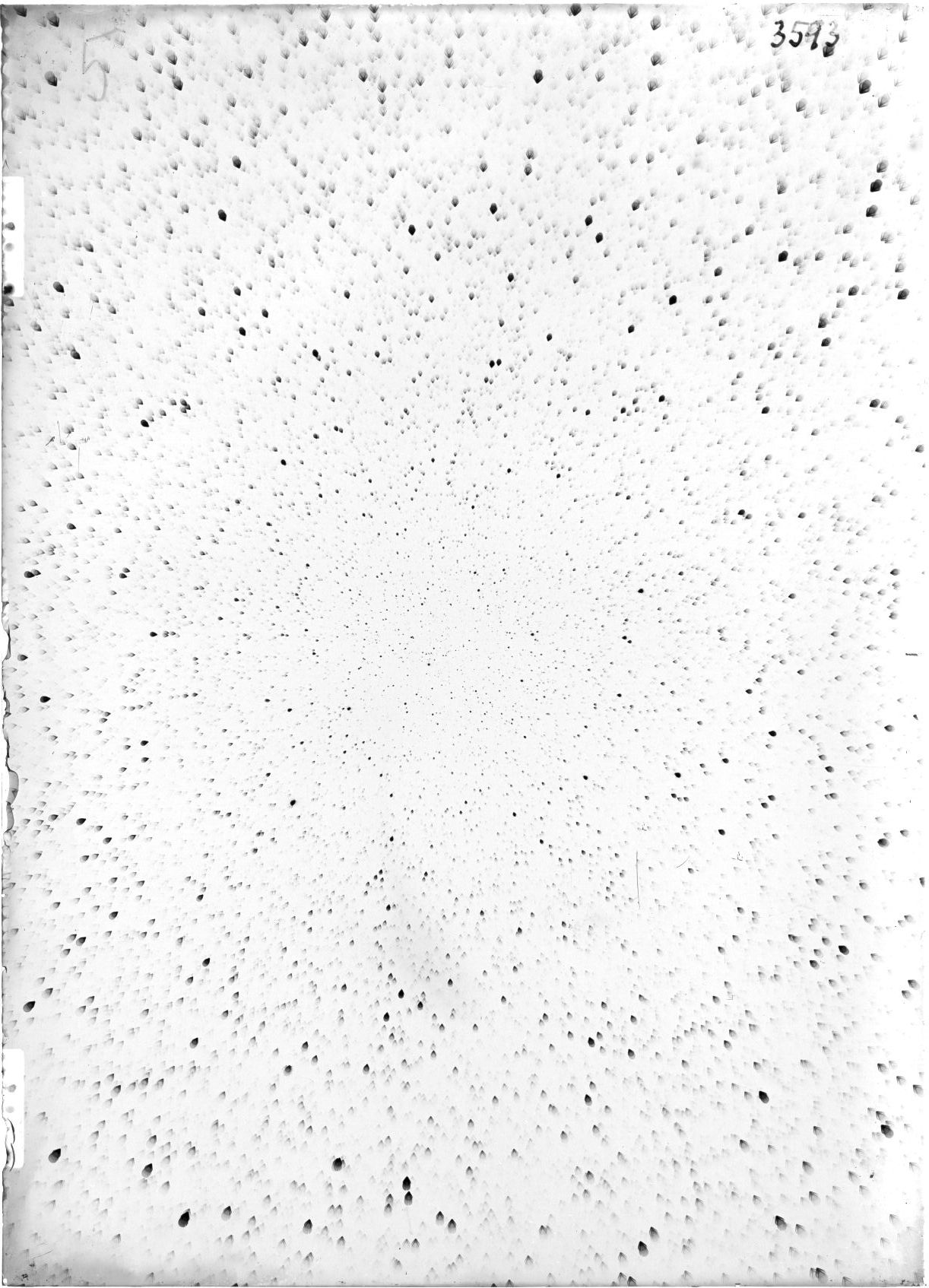 Scan ST03593