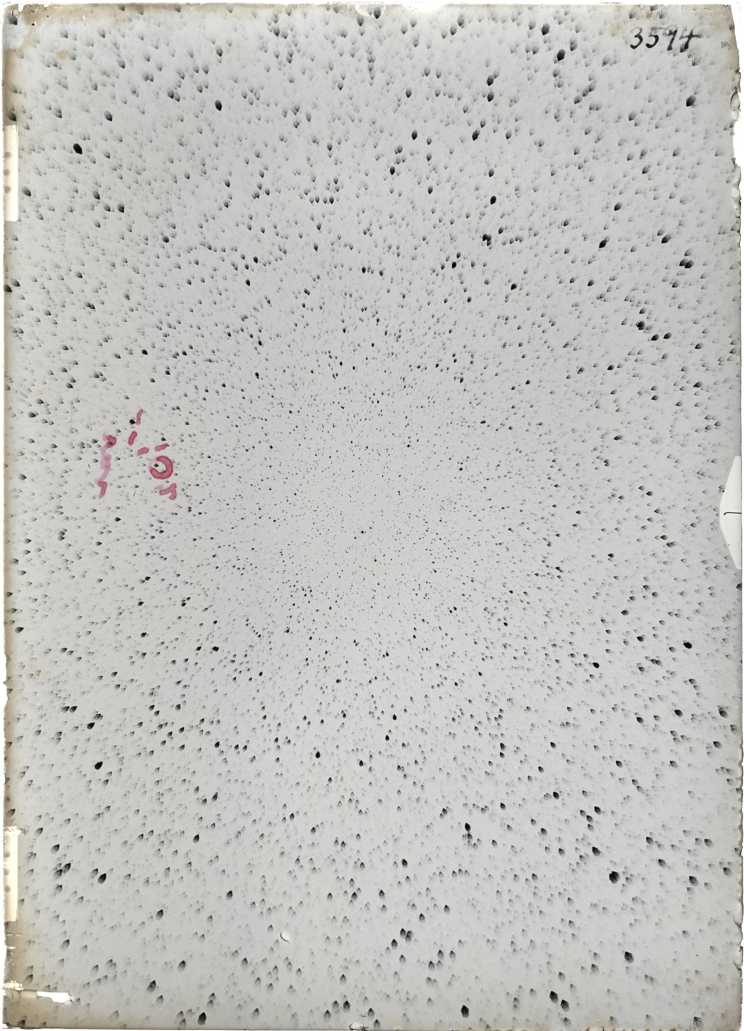 Scan ST03594