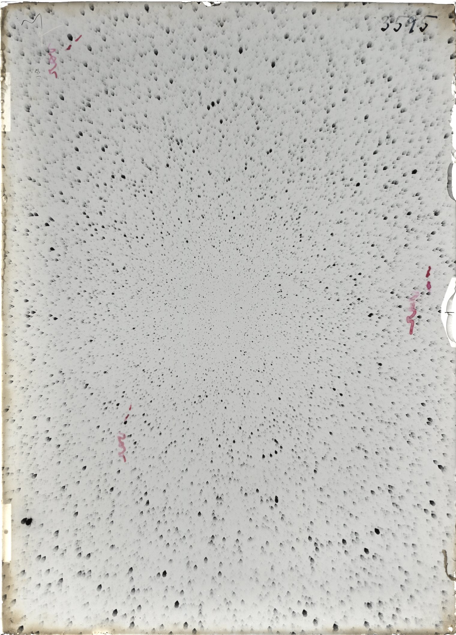 Scan ST03595