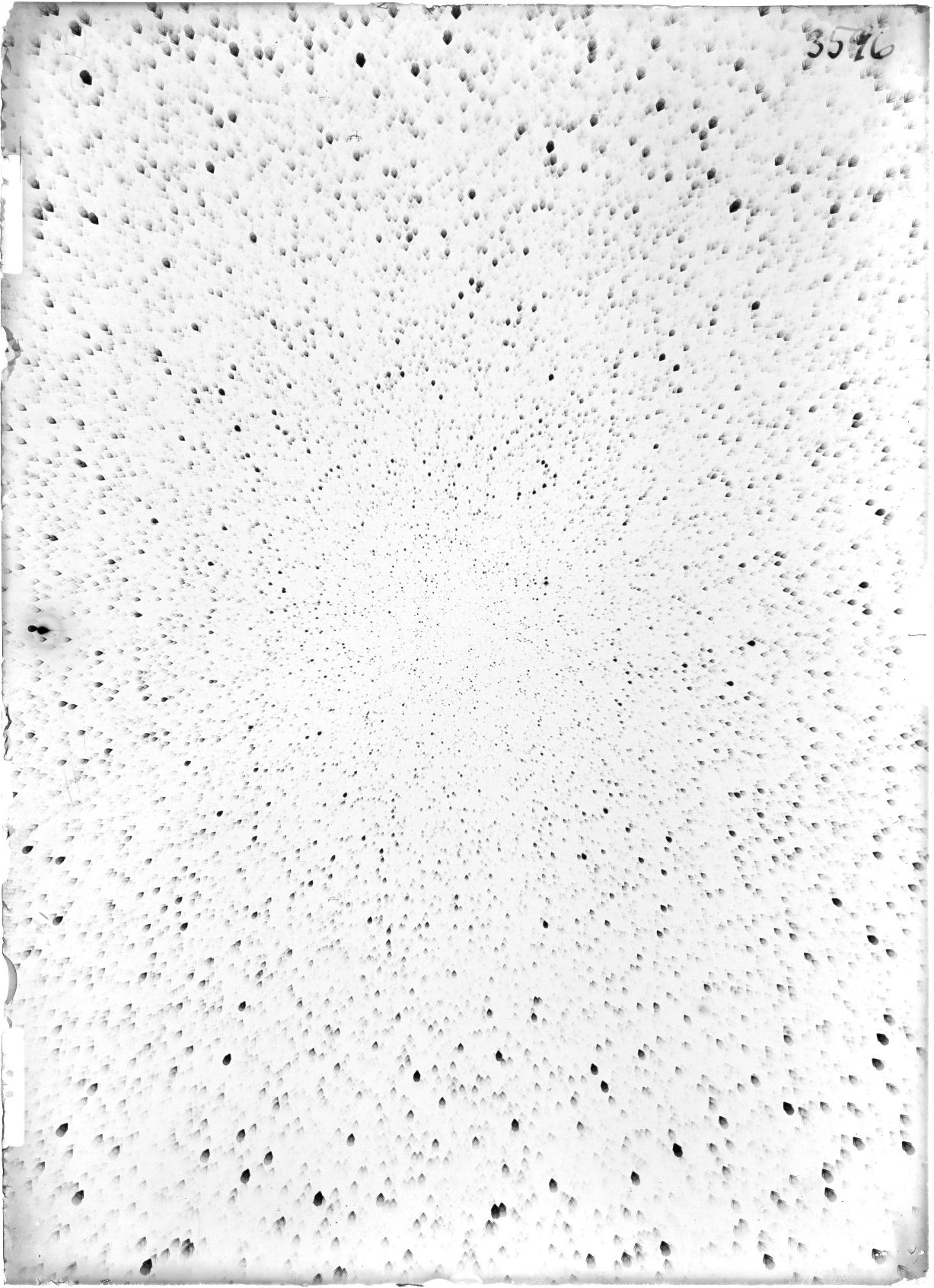 Scan ST03596