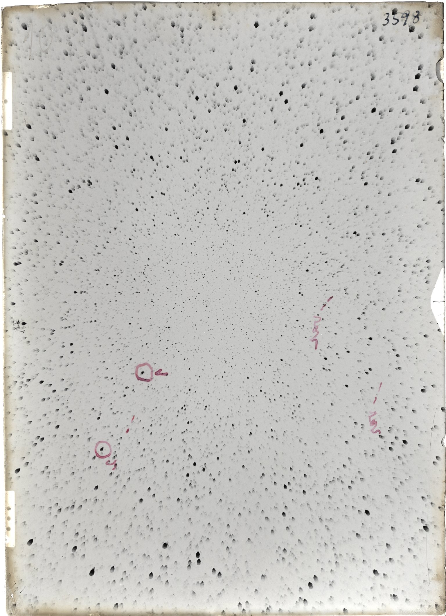 Scan ST03598