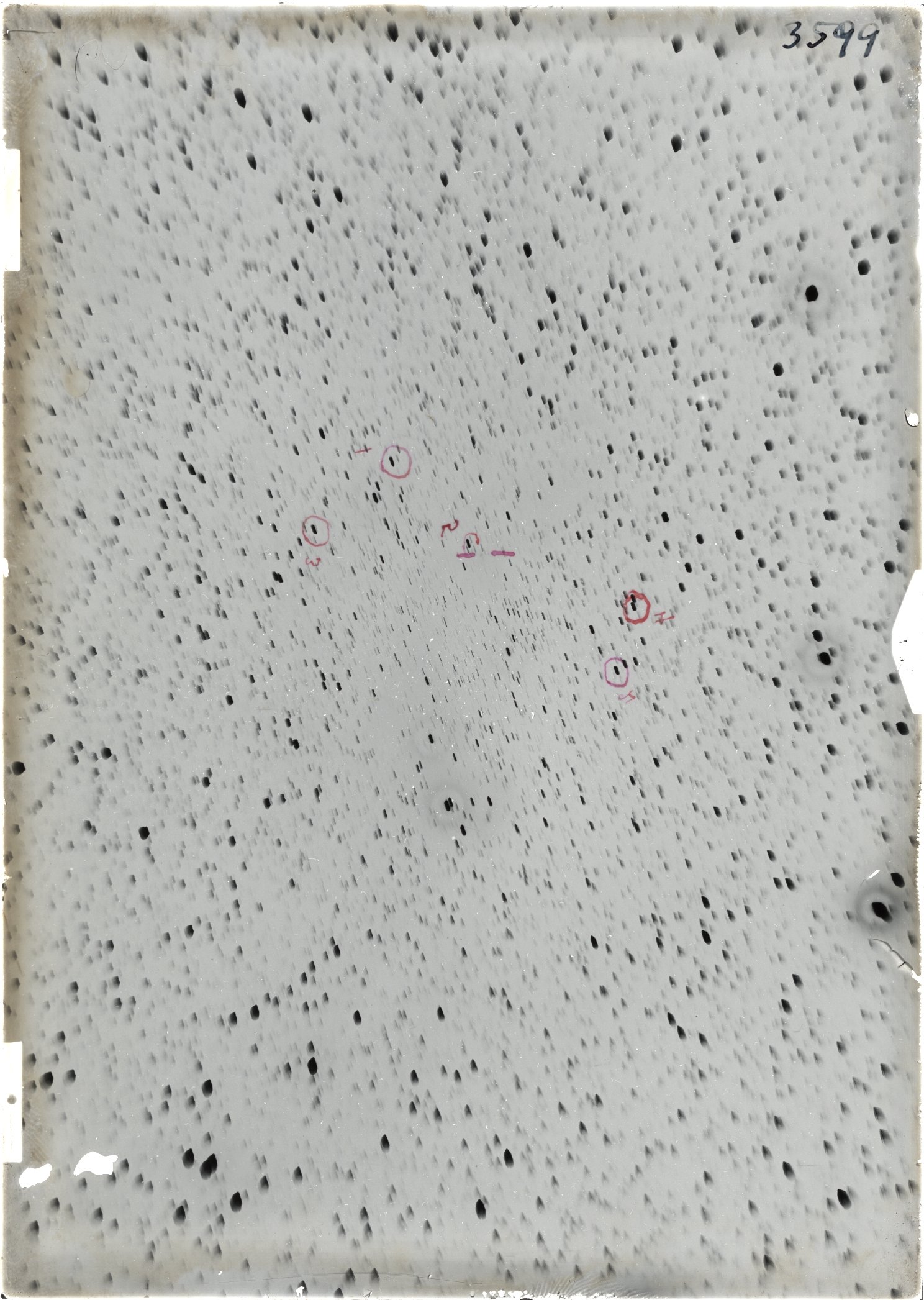 Scan ST03599