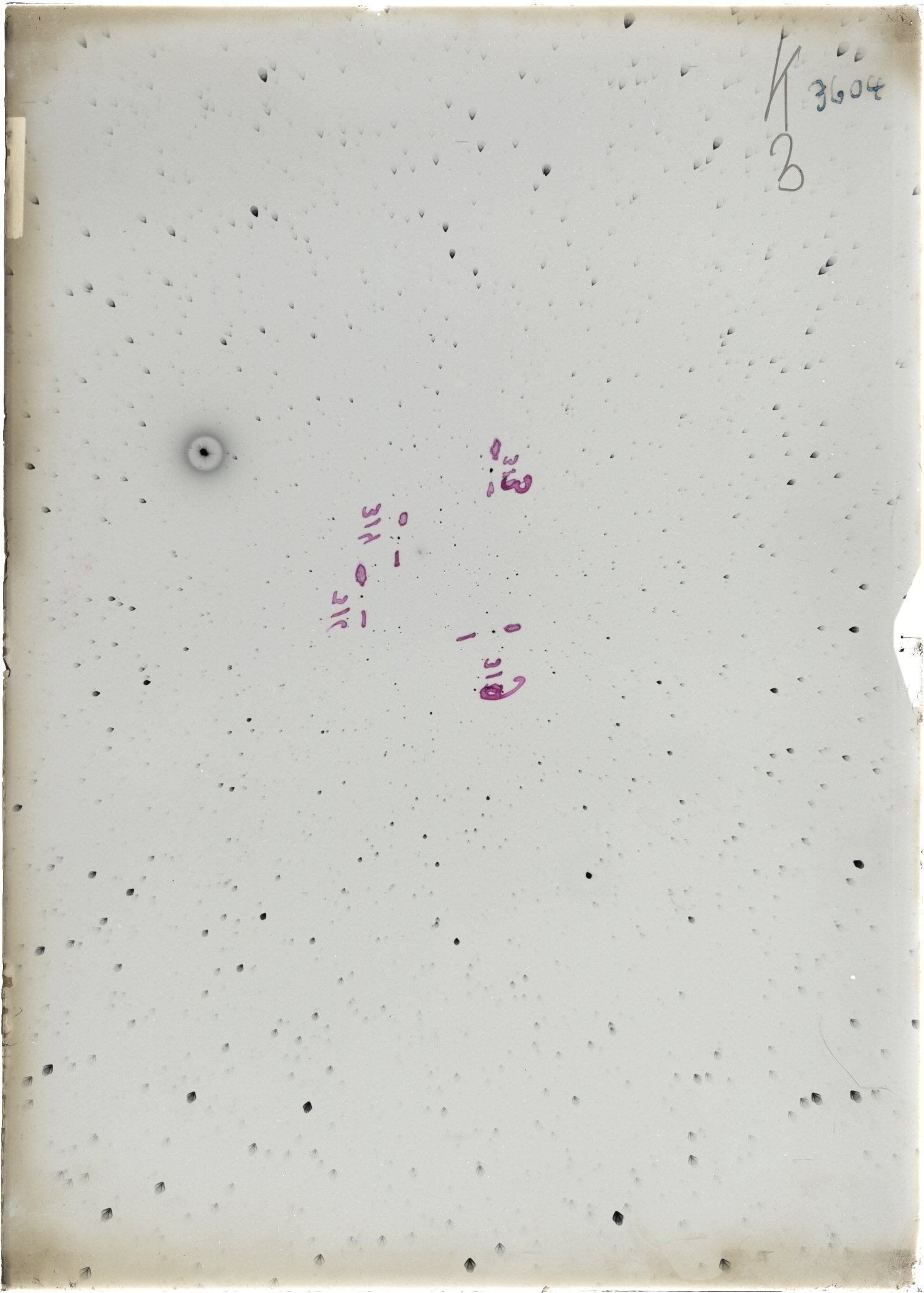 Scan ST03604