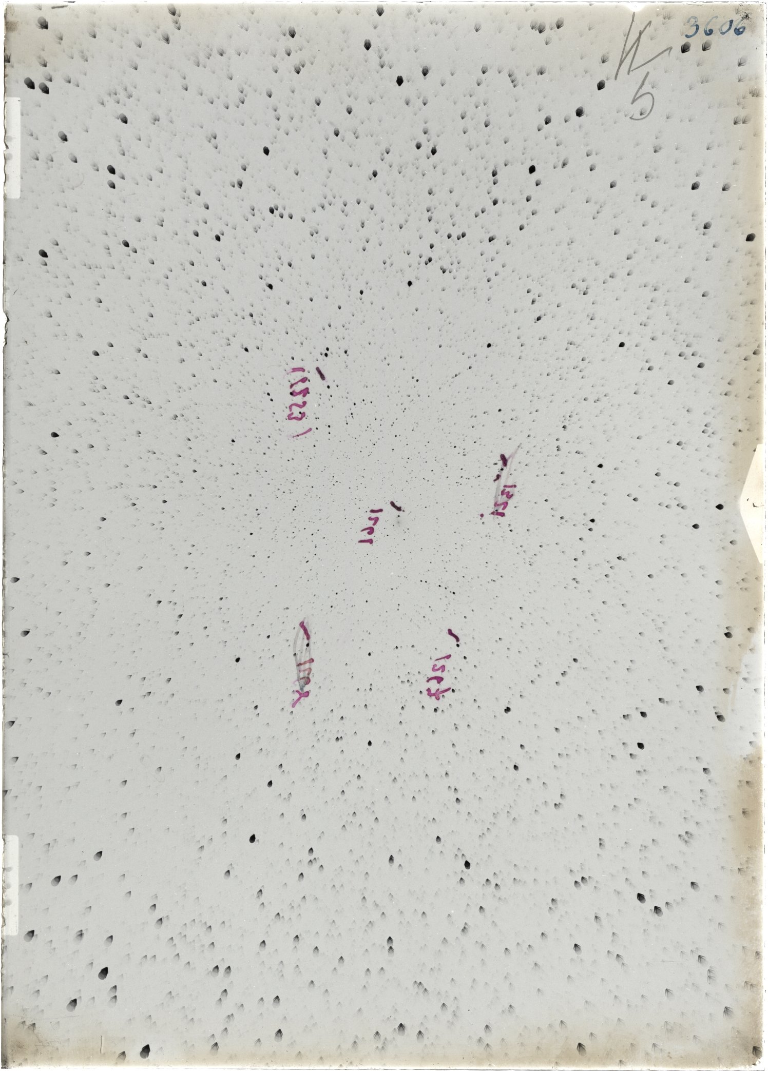 Scan ST03606