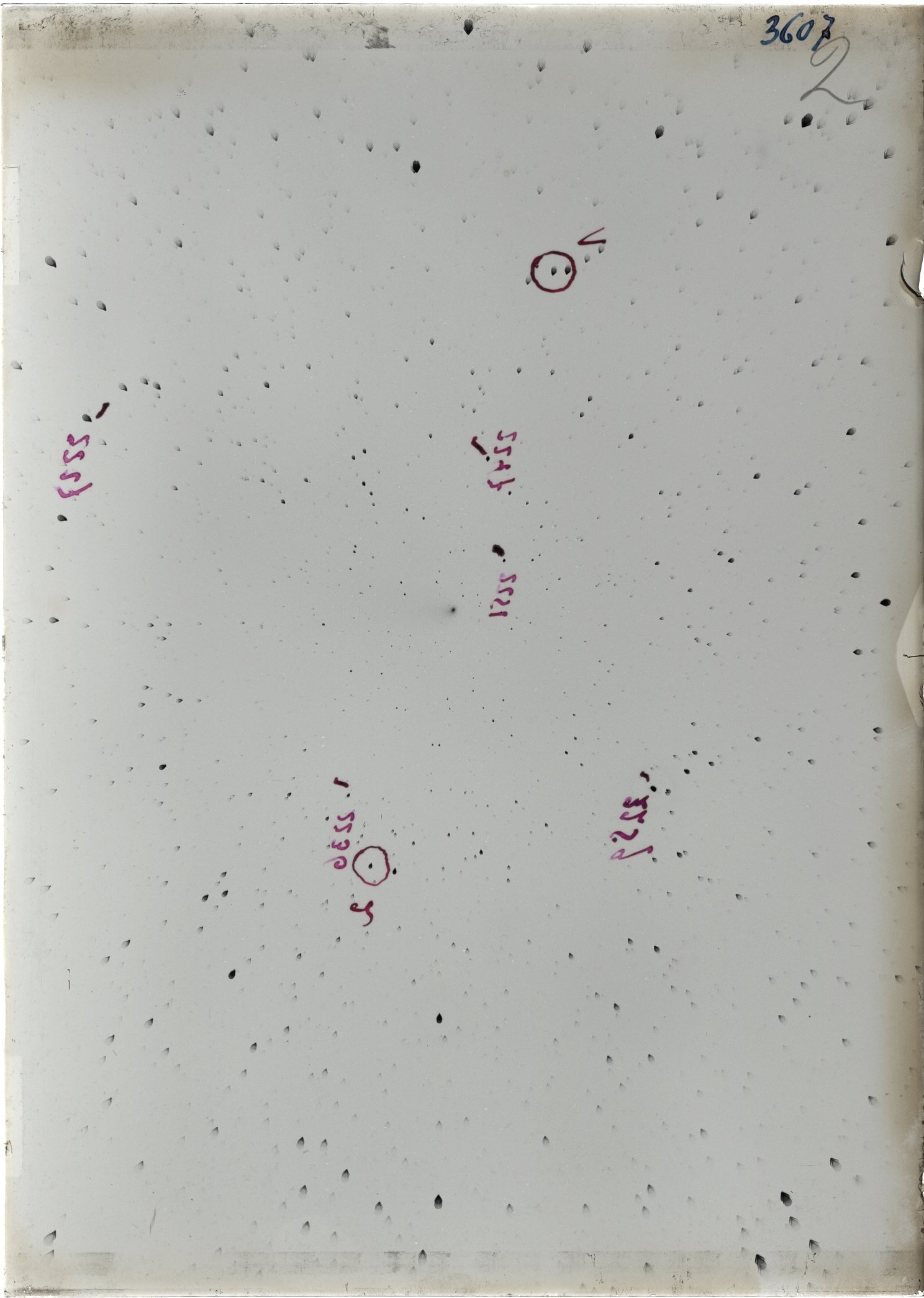 Scan ST03607