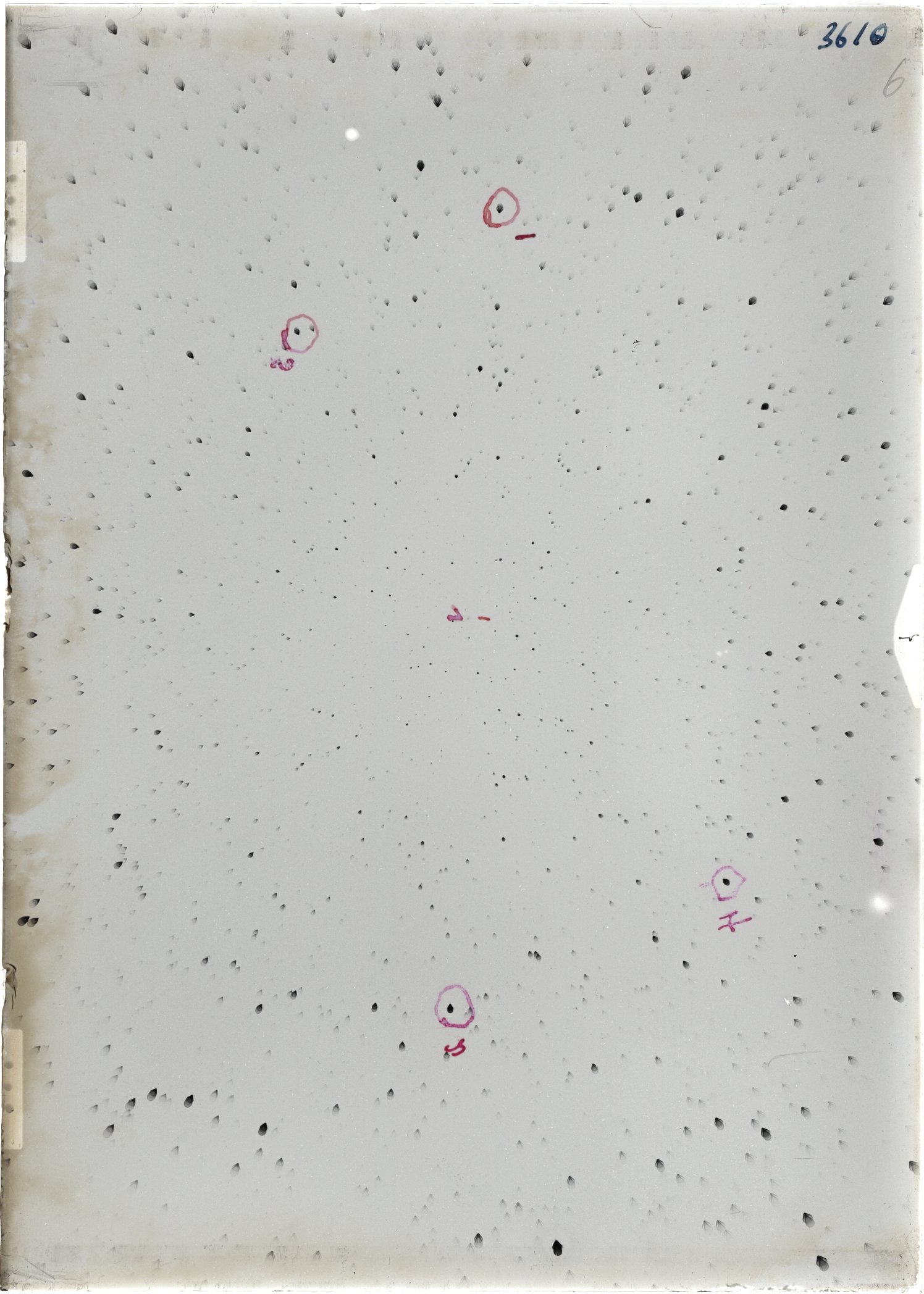 Scan ST03610